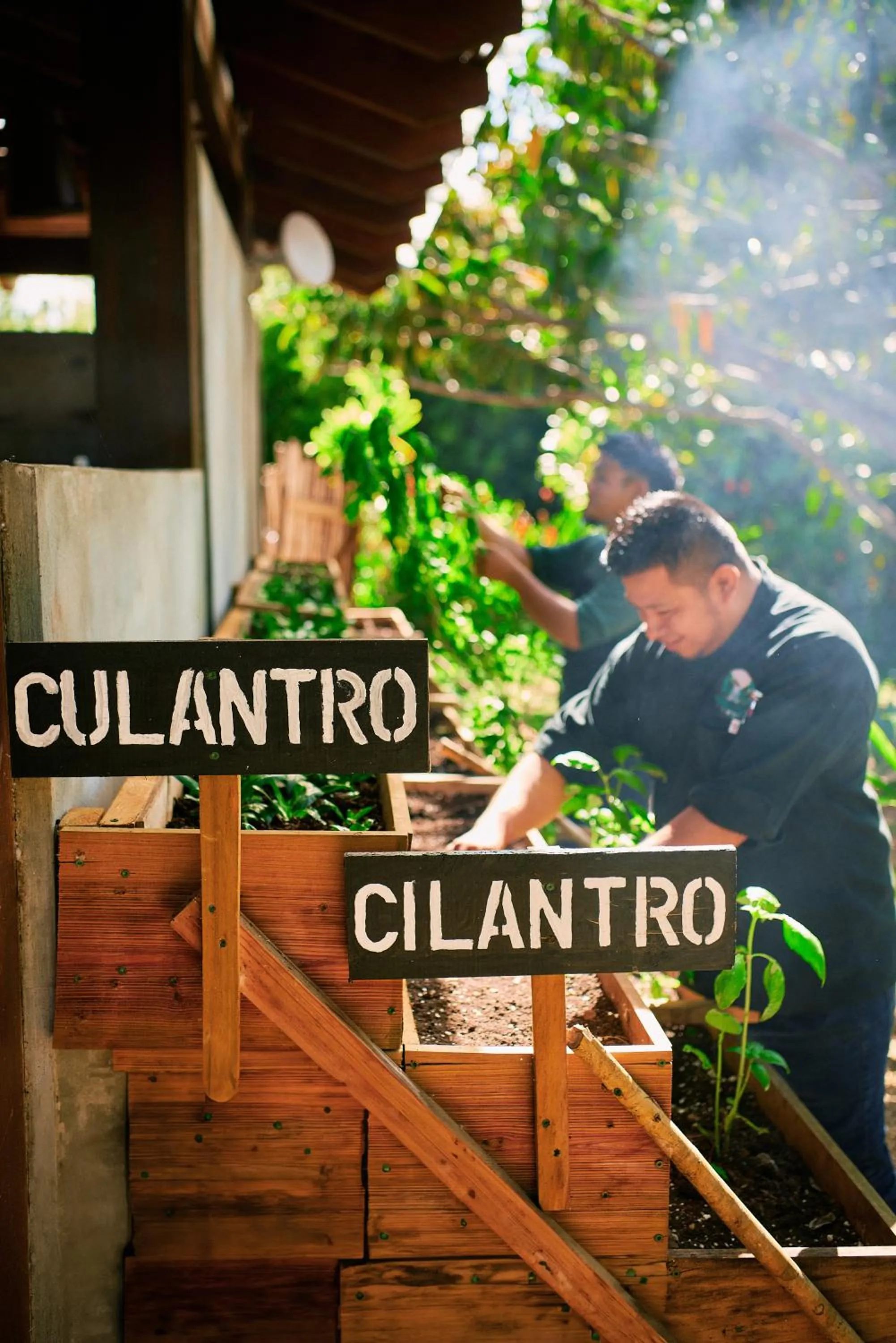 Garden in Hidden Valley Wilderness Lodge