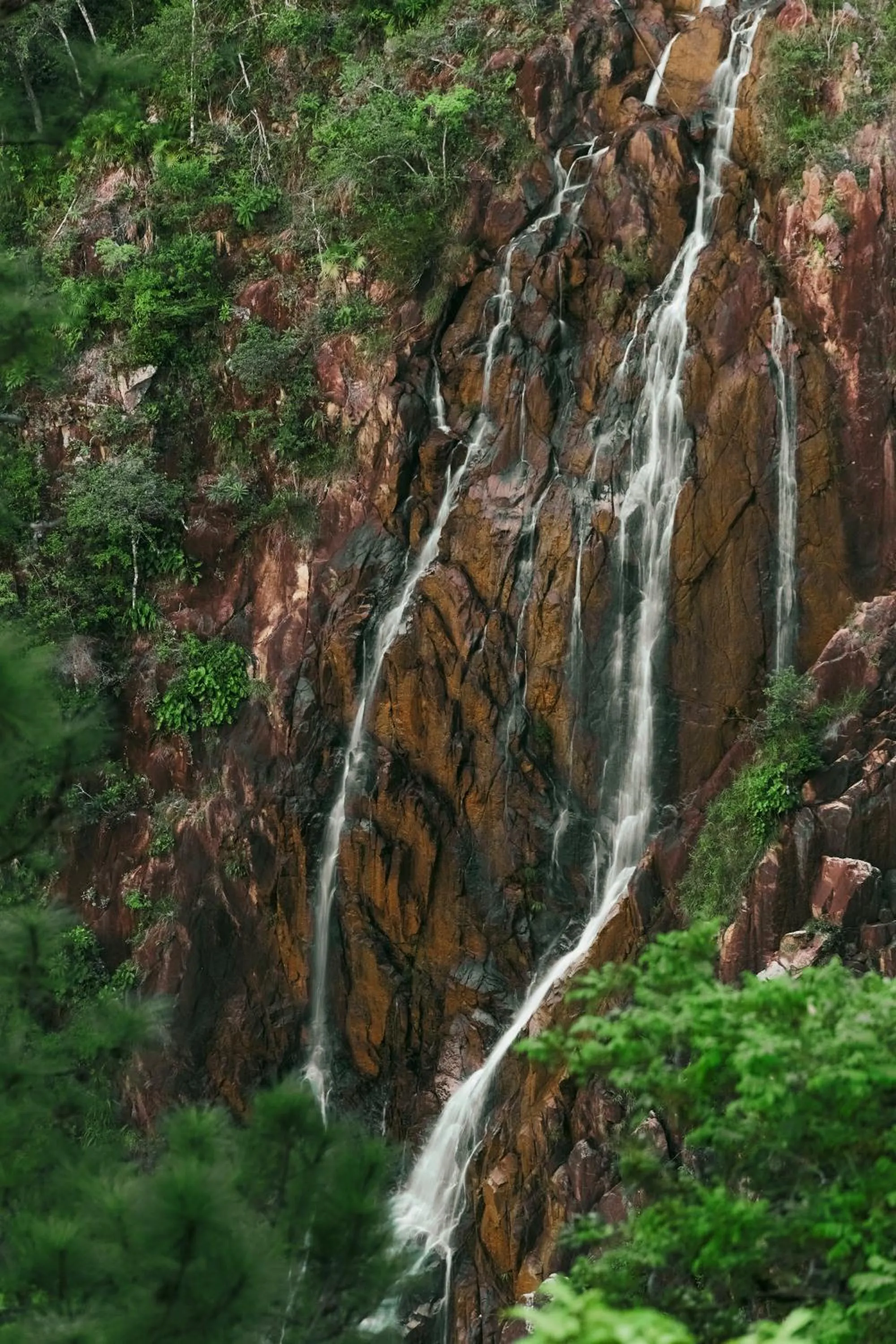 Spring in Hidden Valley Wilderness Lodge