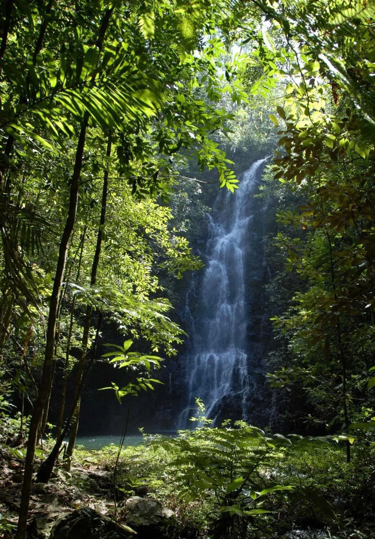 Nearby landmark in Hidden Valley Wilderness Lodge