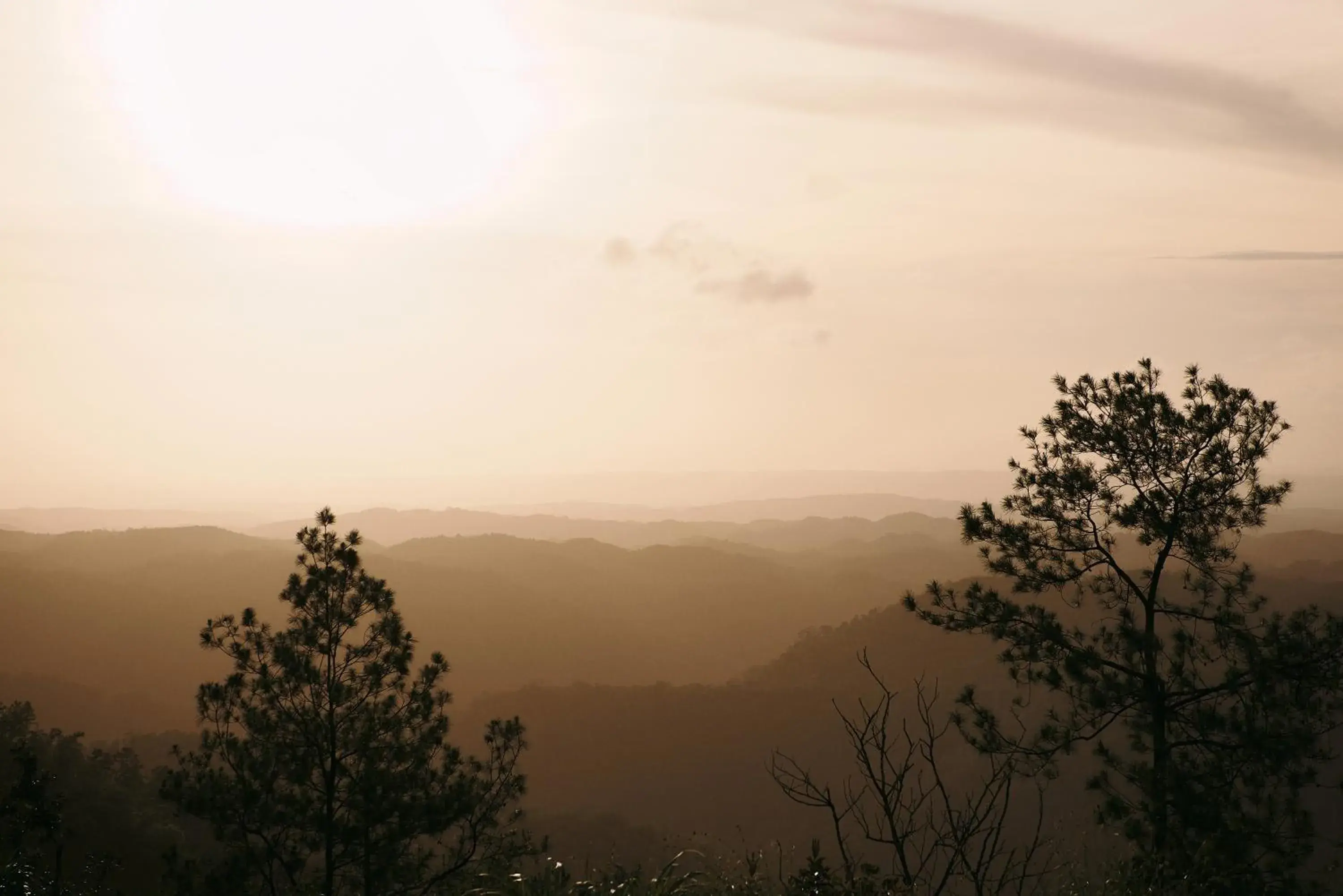 View (from property/room) in Hidden Valley Wilderness Lodge View (from property/room) in Hidden Valley Wilderness Lodge