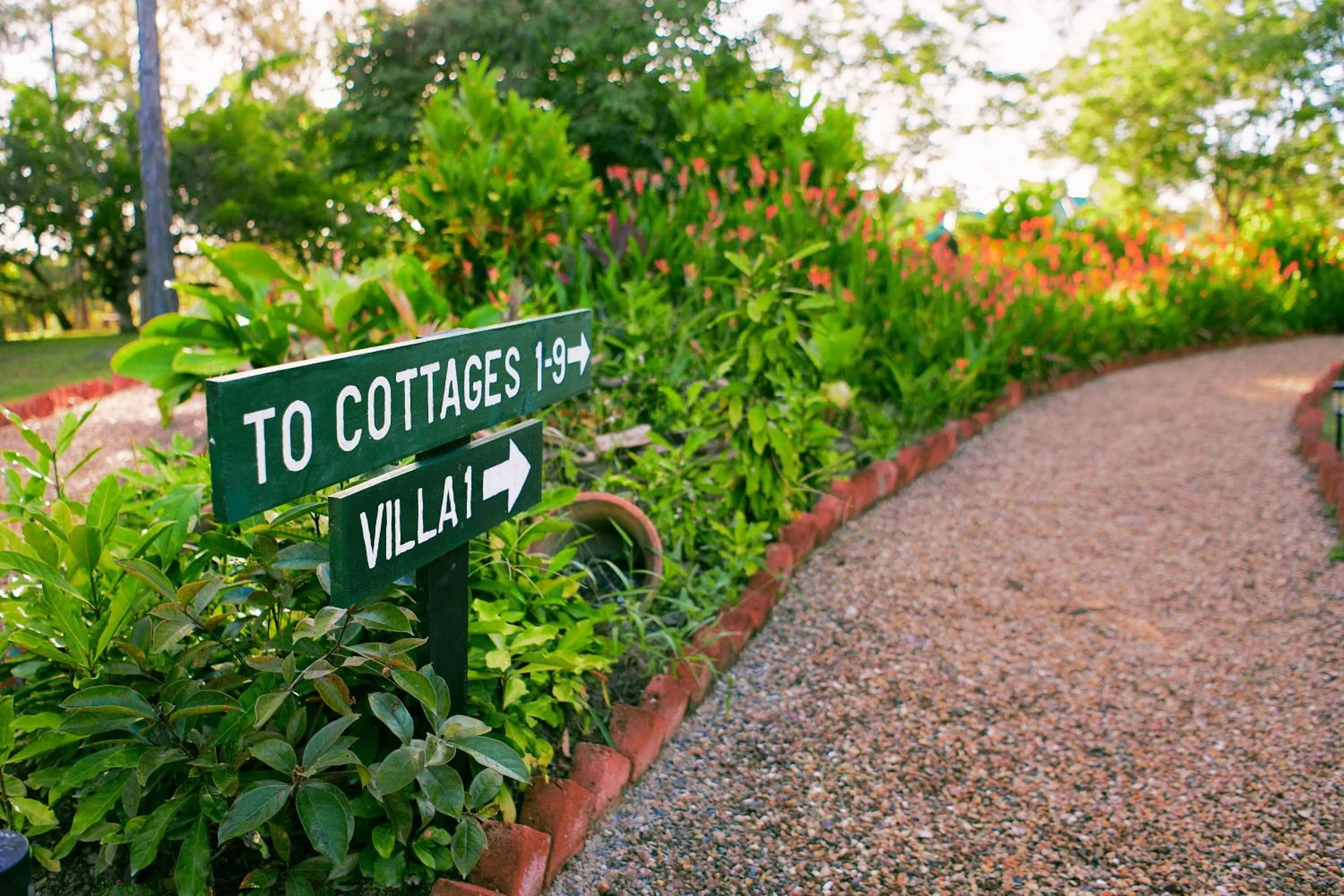 Day in Hidden Valley Wilderness Lodge