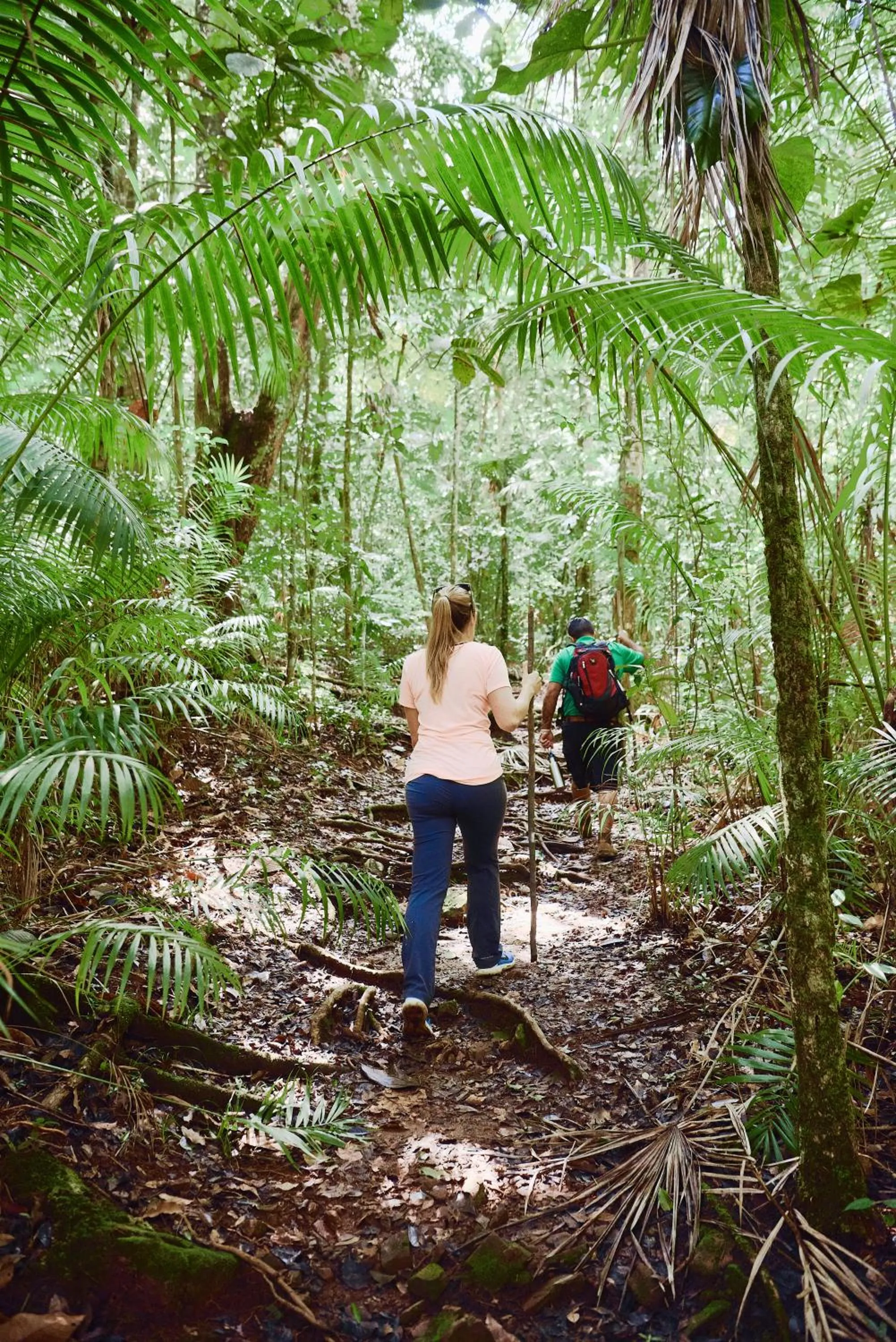 Natural landscape in Hidden Valley Wilderness Lodge
