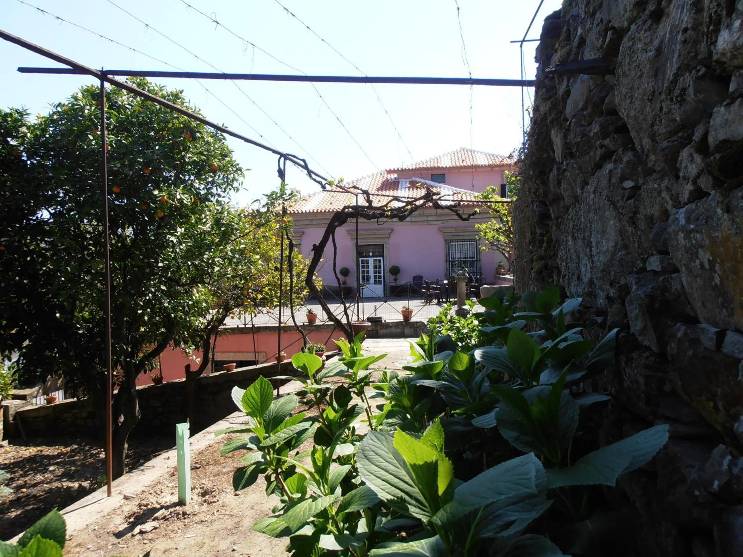 Garden in Casa Dos Varais, Manor House