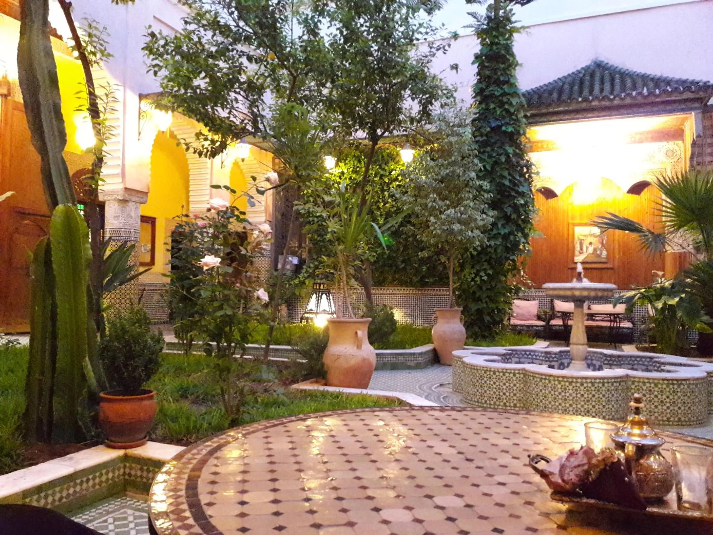 Garden view in Riad Jaouhara