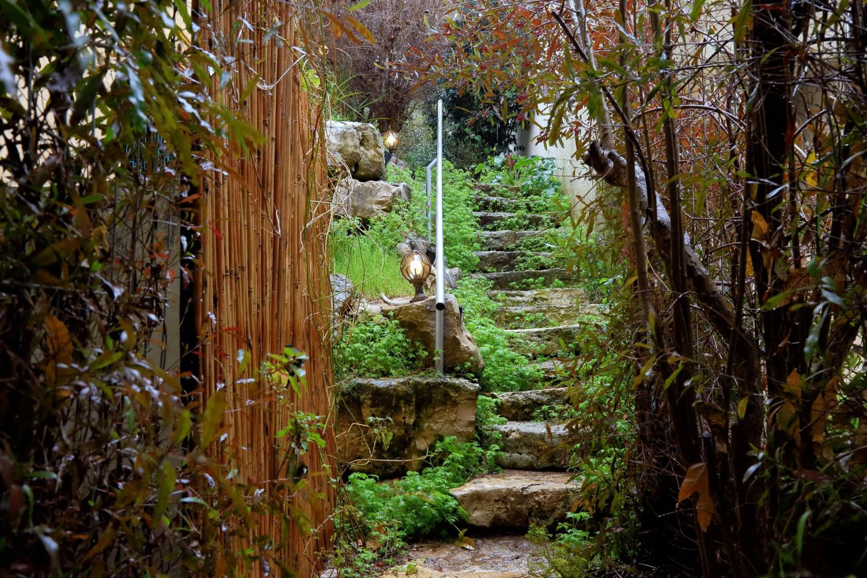 The Rose Trail