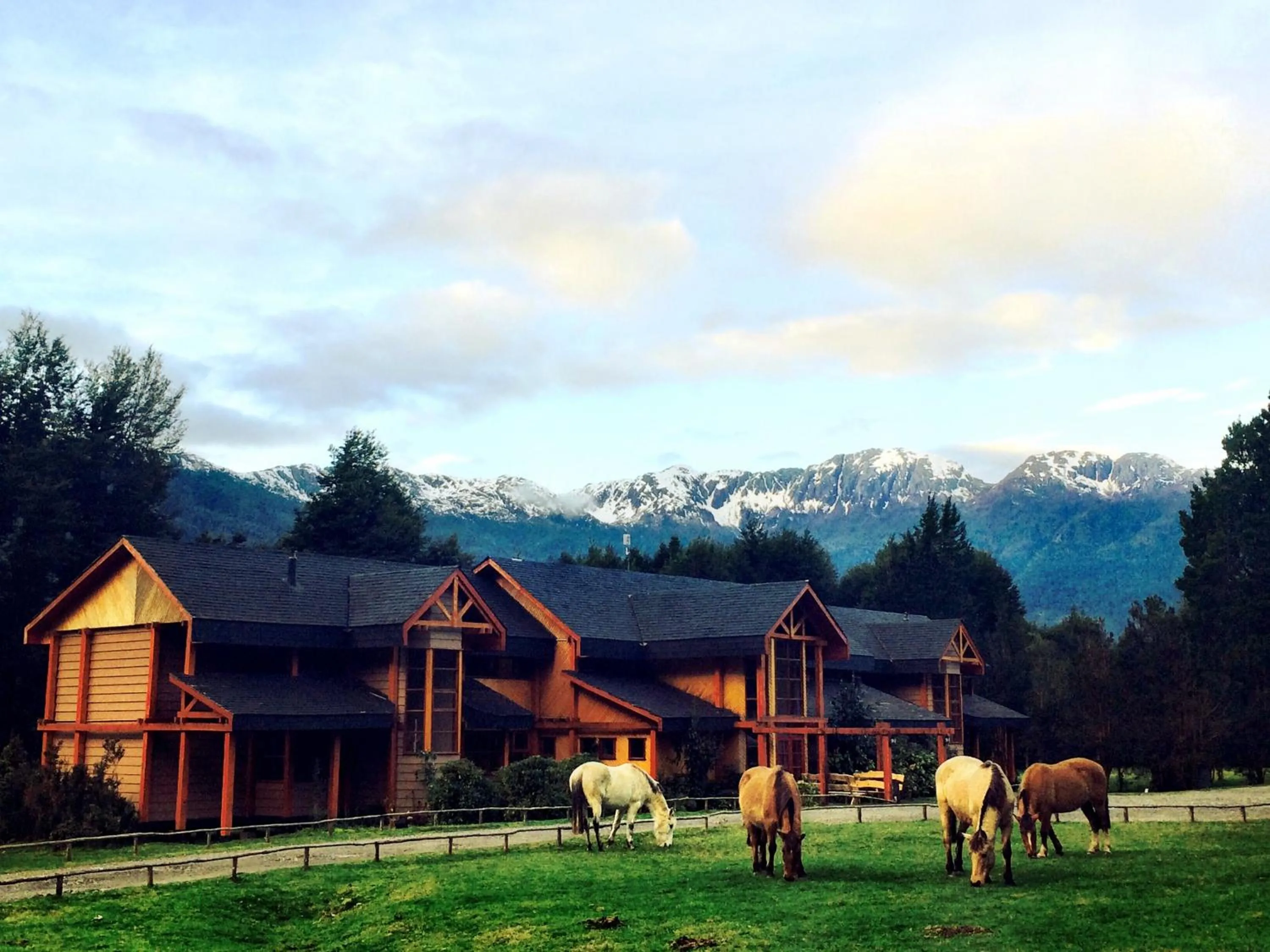 Garden in Yelcho en la Patagonia