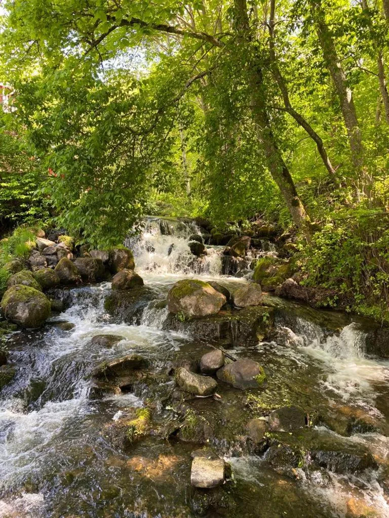Natural landscape in Pilakvarn