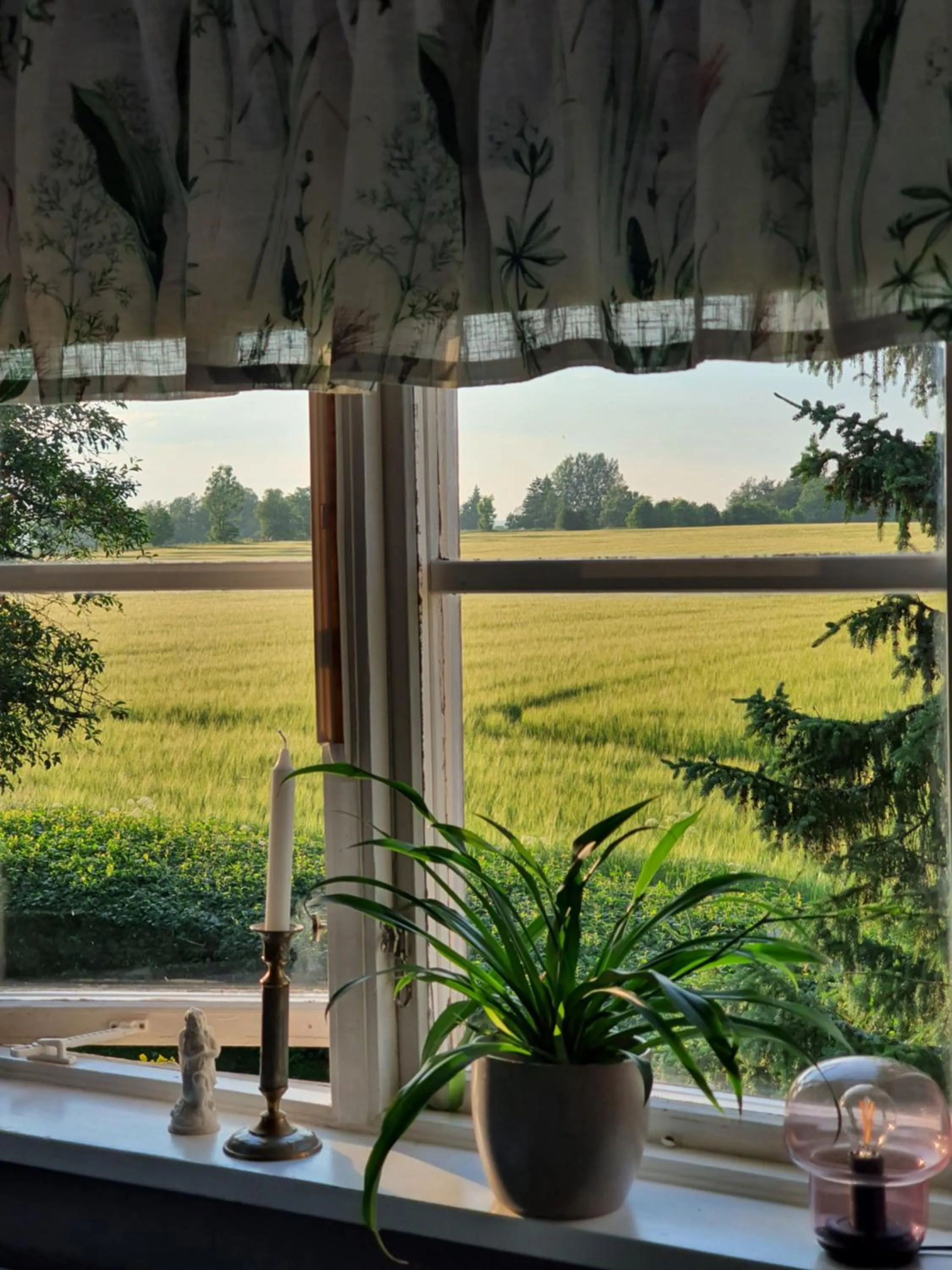 Garden view in Pilakvarn