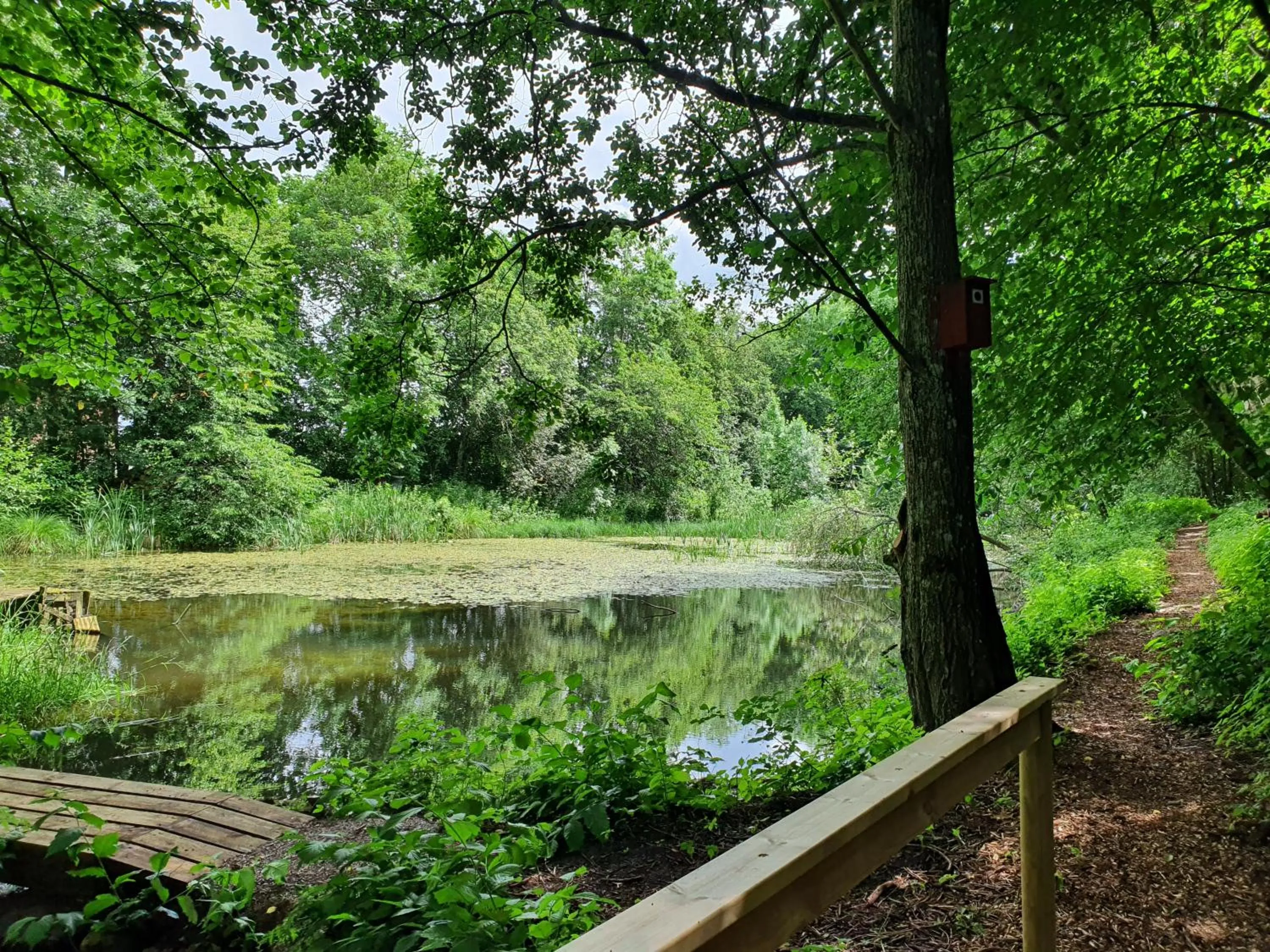Natural landscape in Pilakvarn