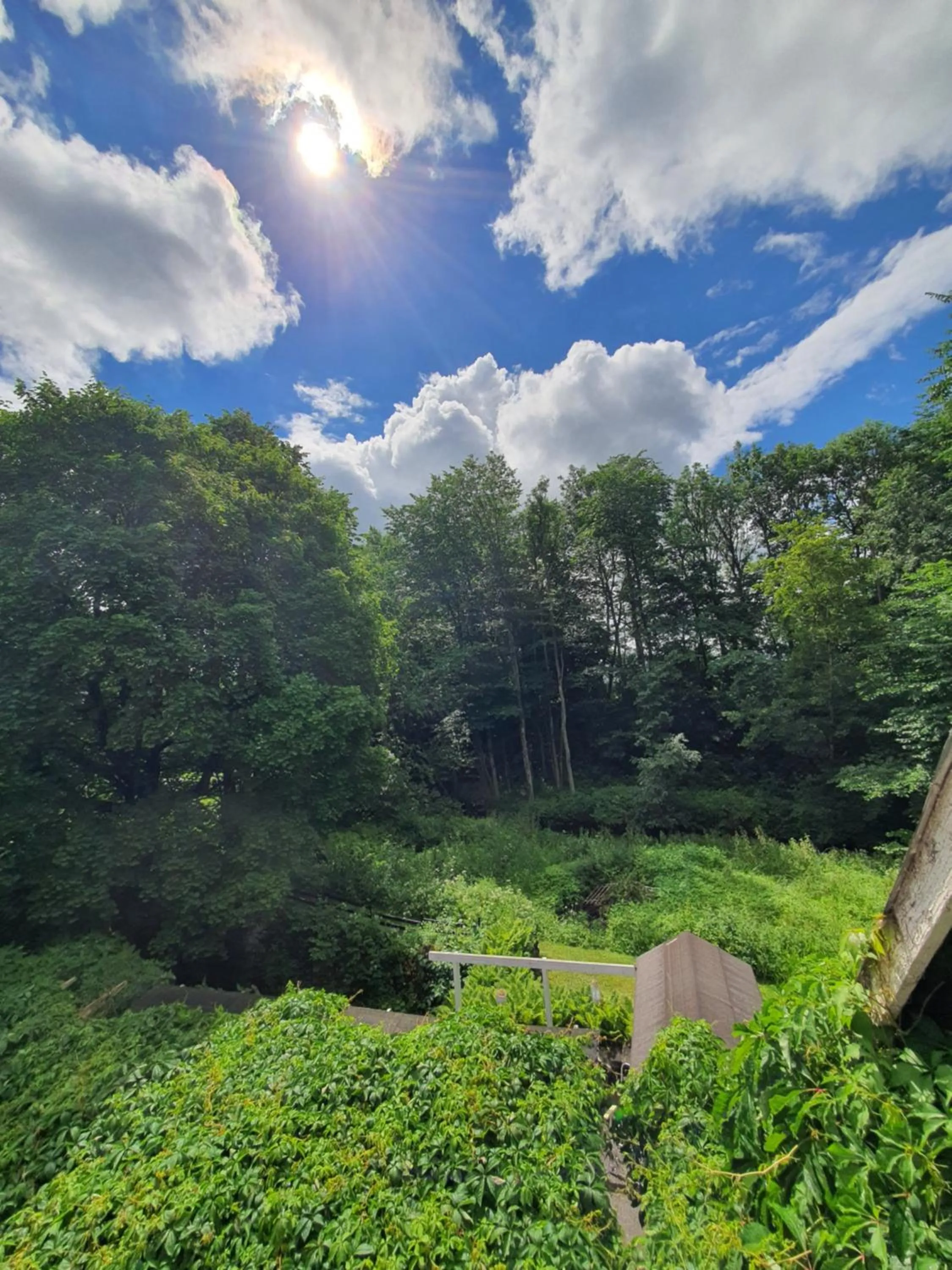 Garden view in Pilakvarn