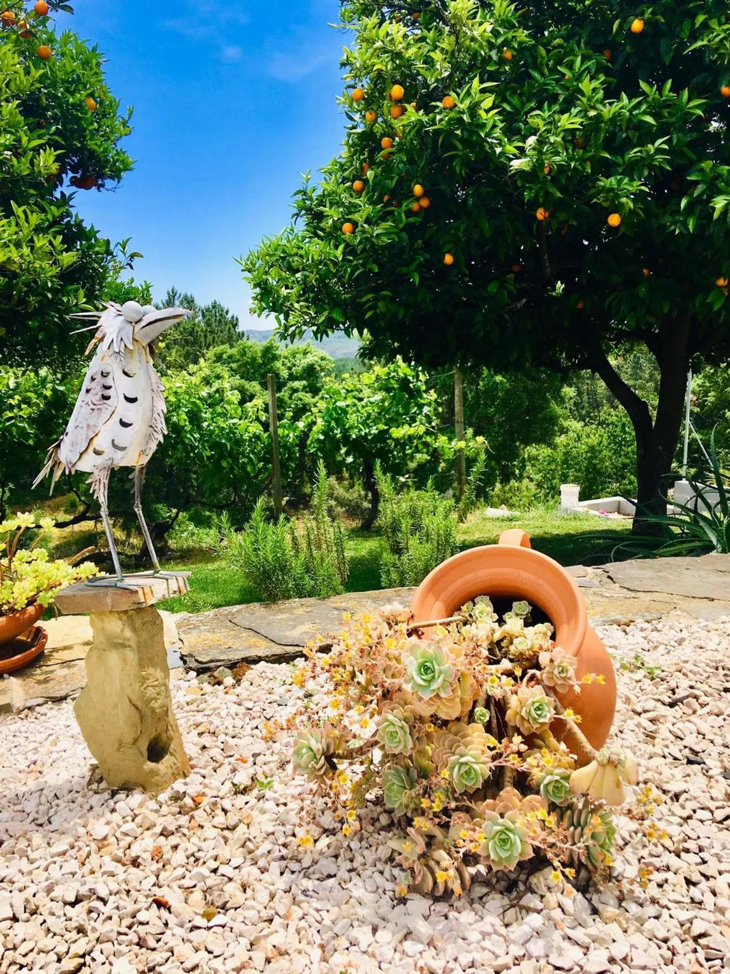 Garden in Quinta Quatro Ventos