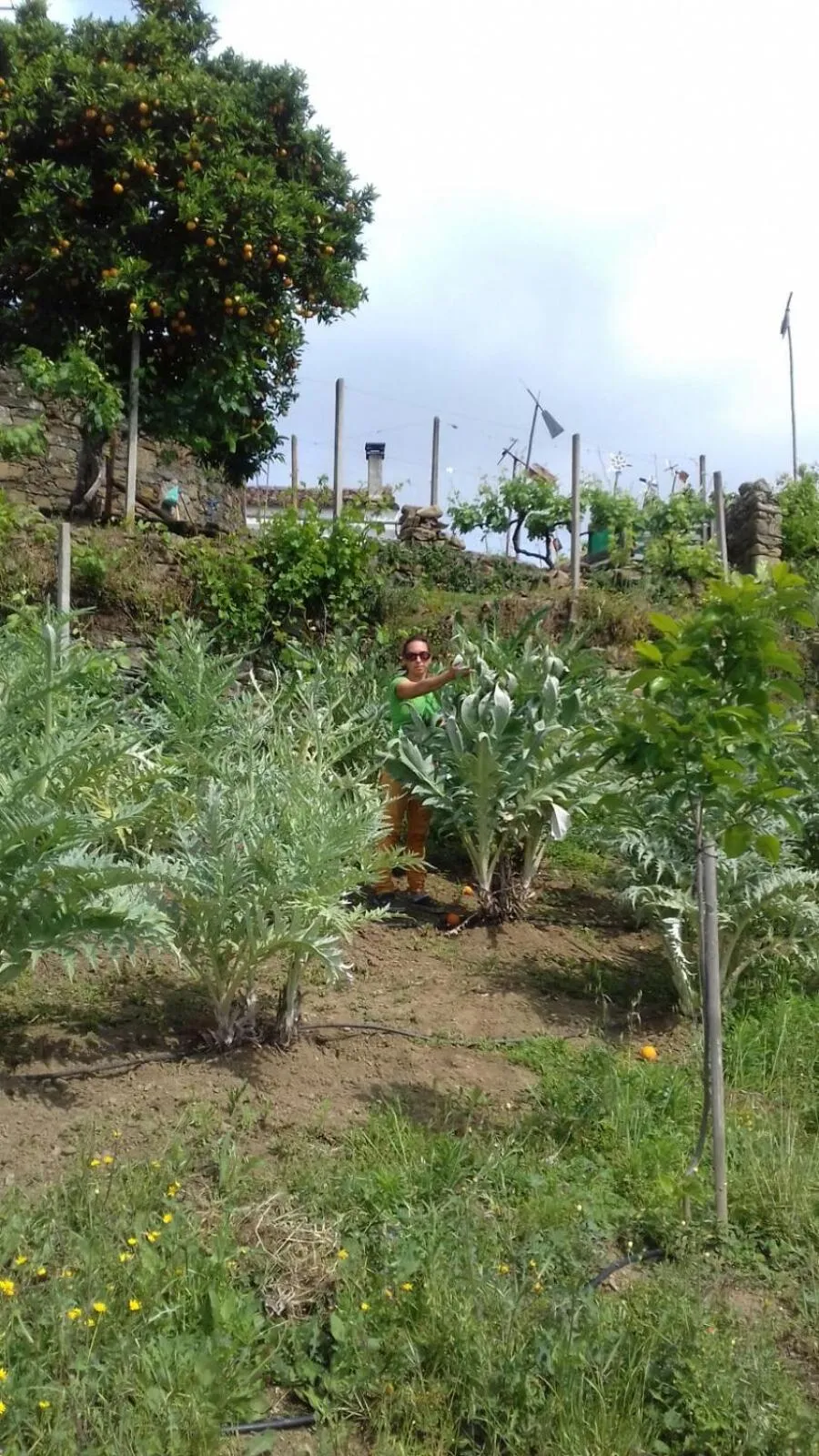 Garden in Quinta Quatro Ventos
