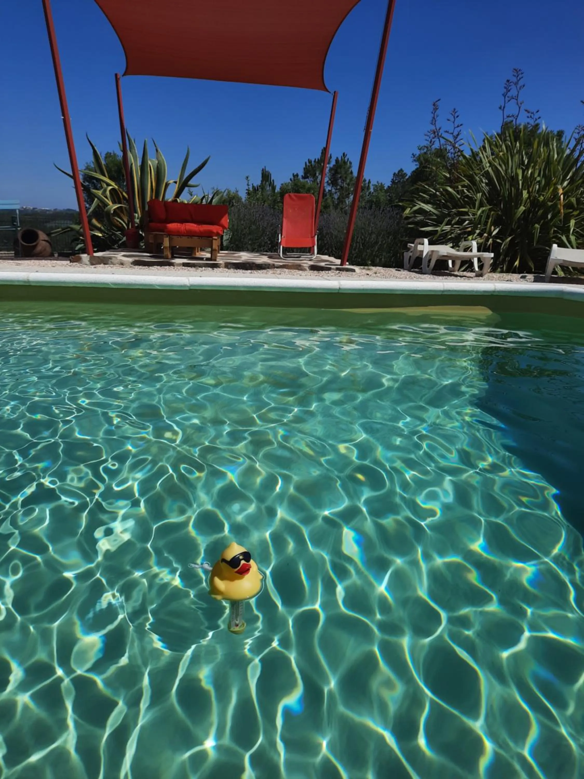 Swimming pool in Quinta Quatro Ventos