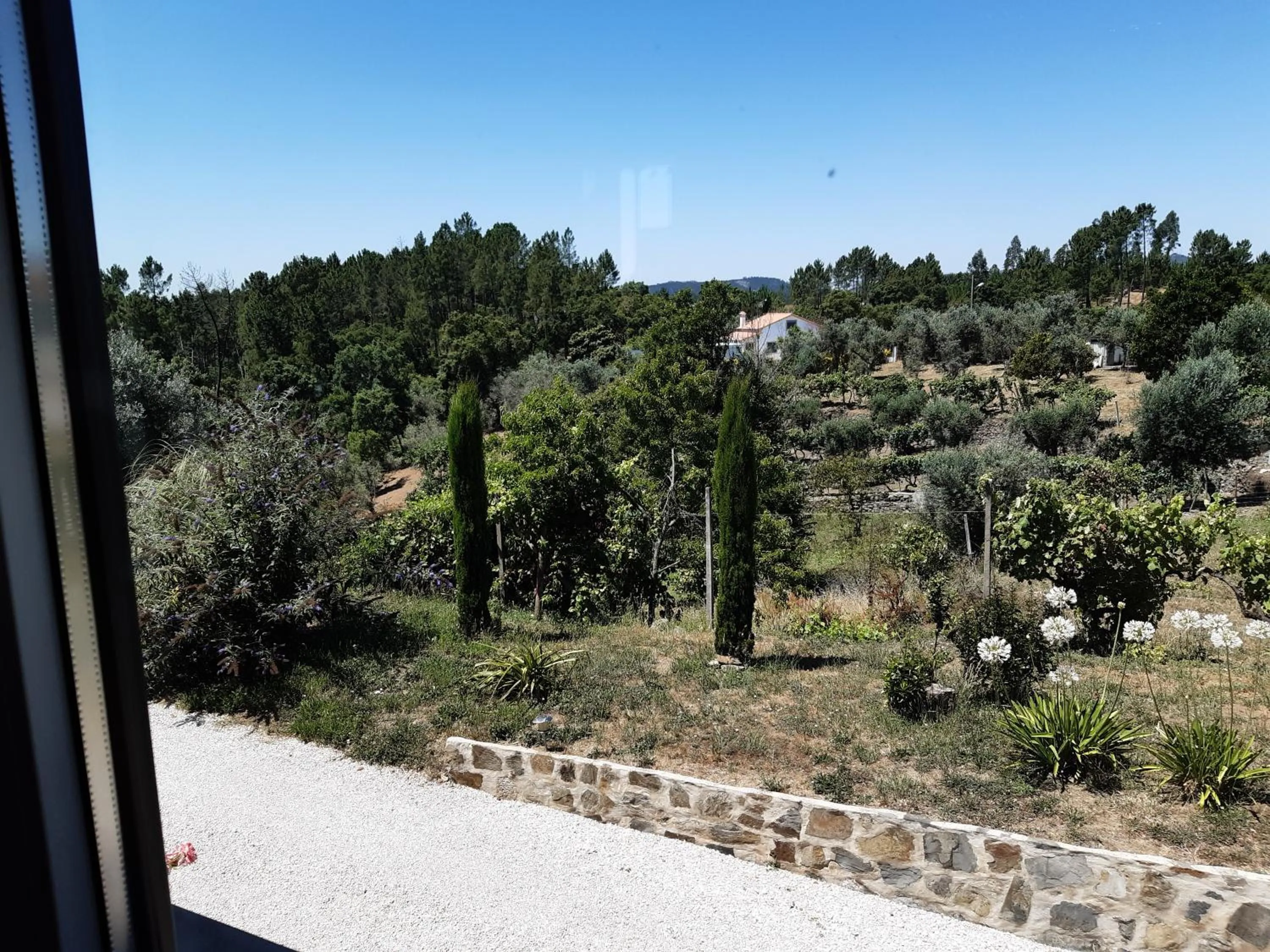 Garden view in Quinta Quatro Ventos