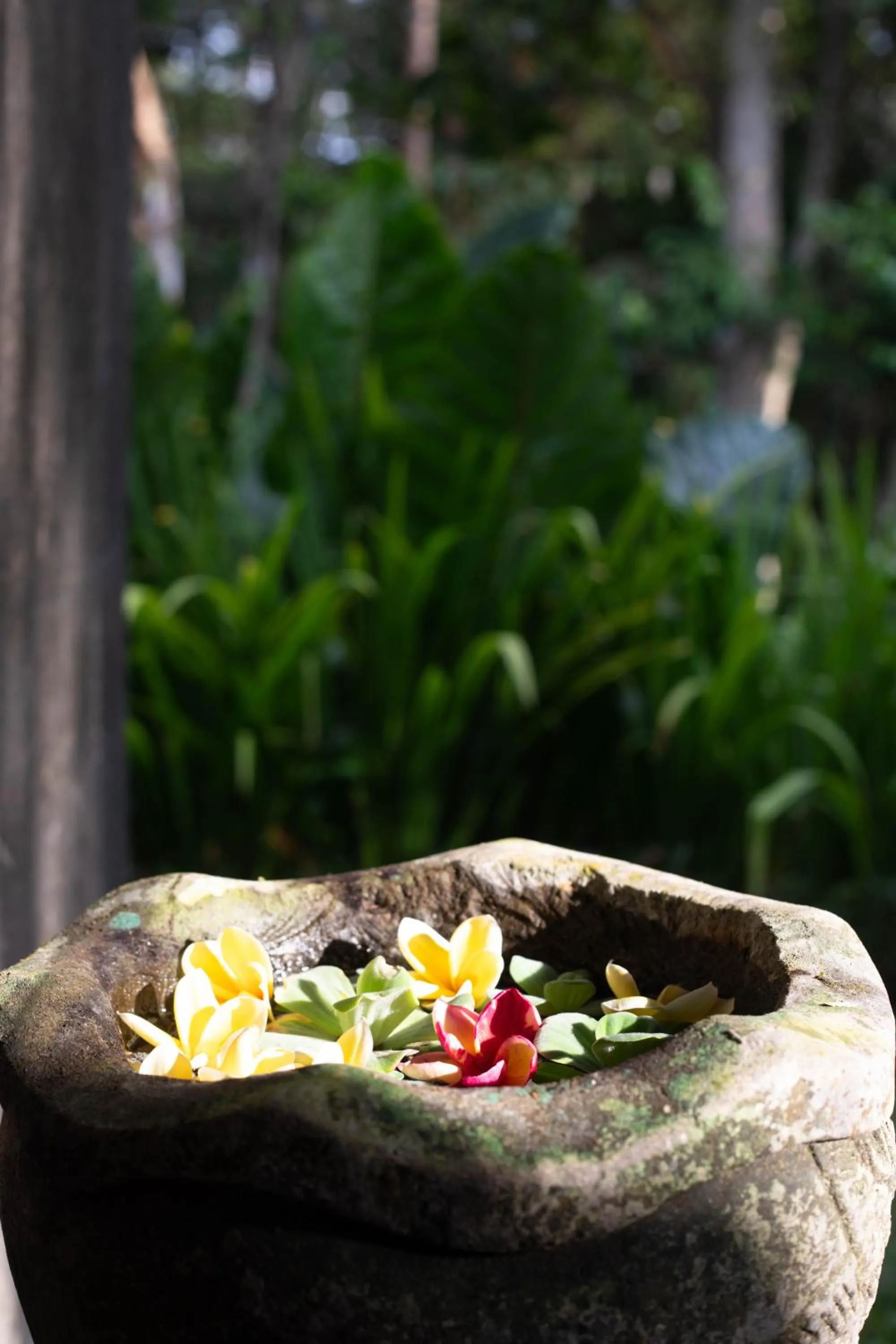 furniture in Suara Air Luxury Villa Ubud