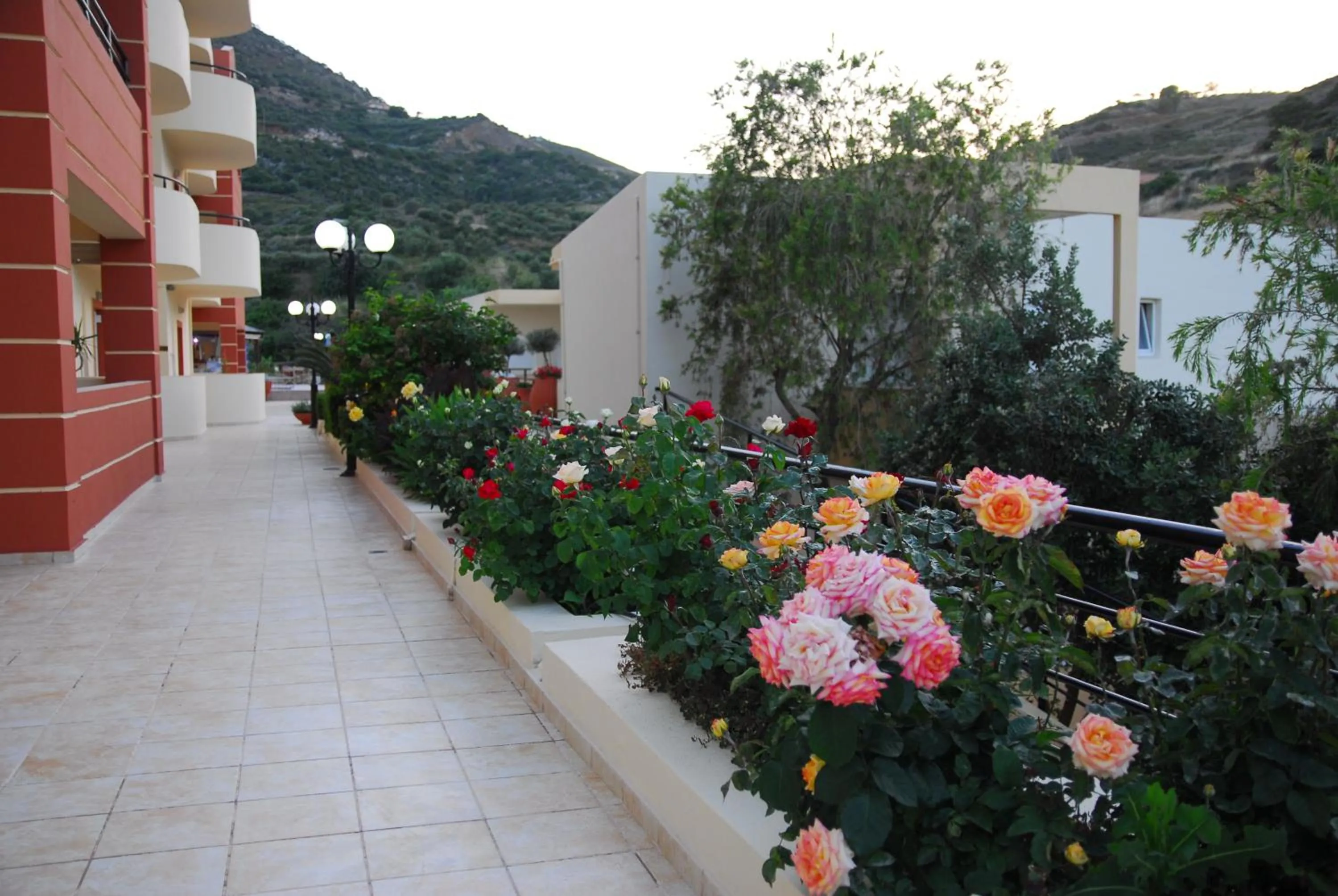 Garden in Elpis Studio Apartments