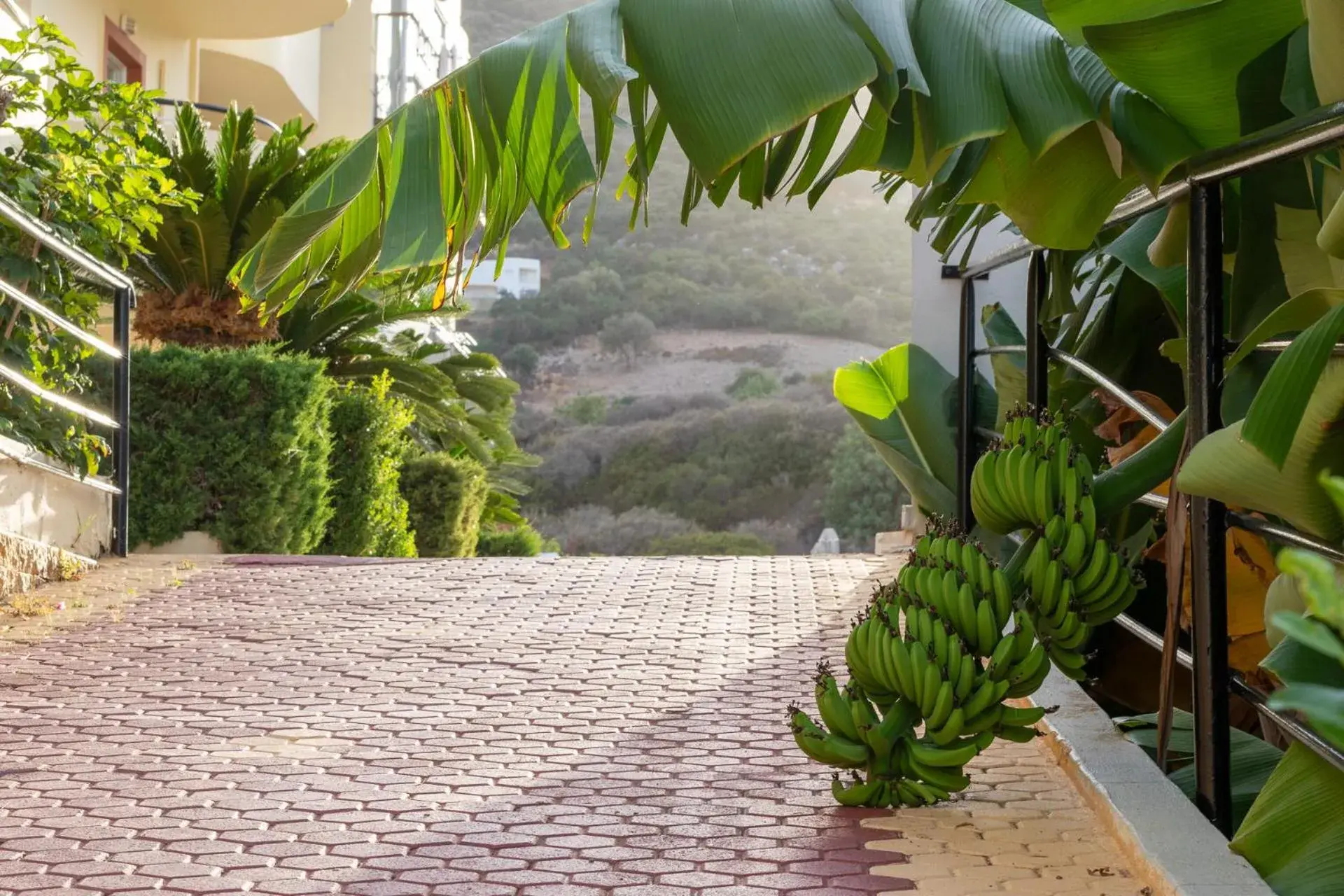 Property building in Elpis Studio Apartments Property building in Elpis Studio Apartments