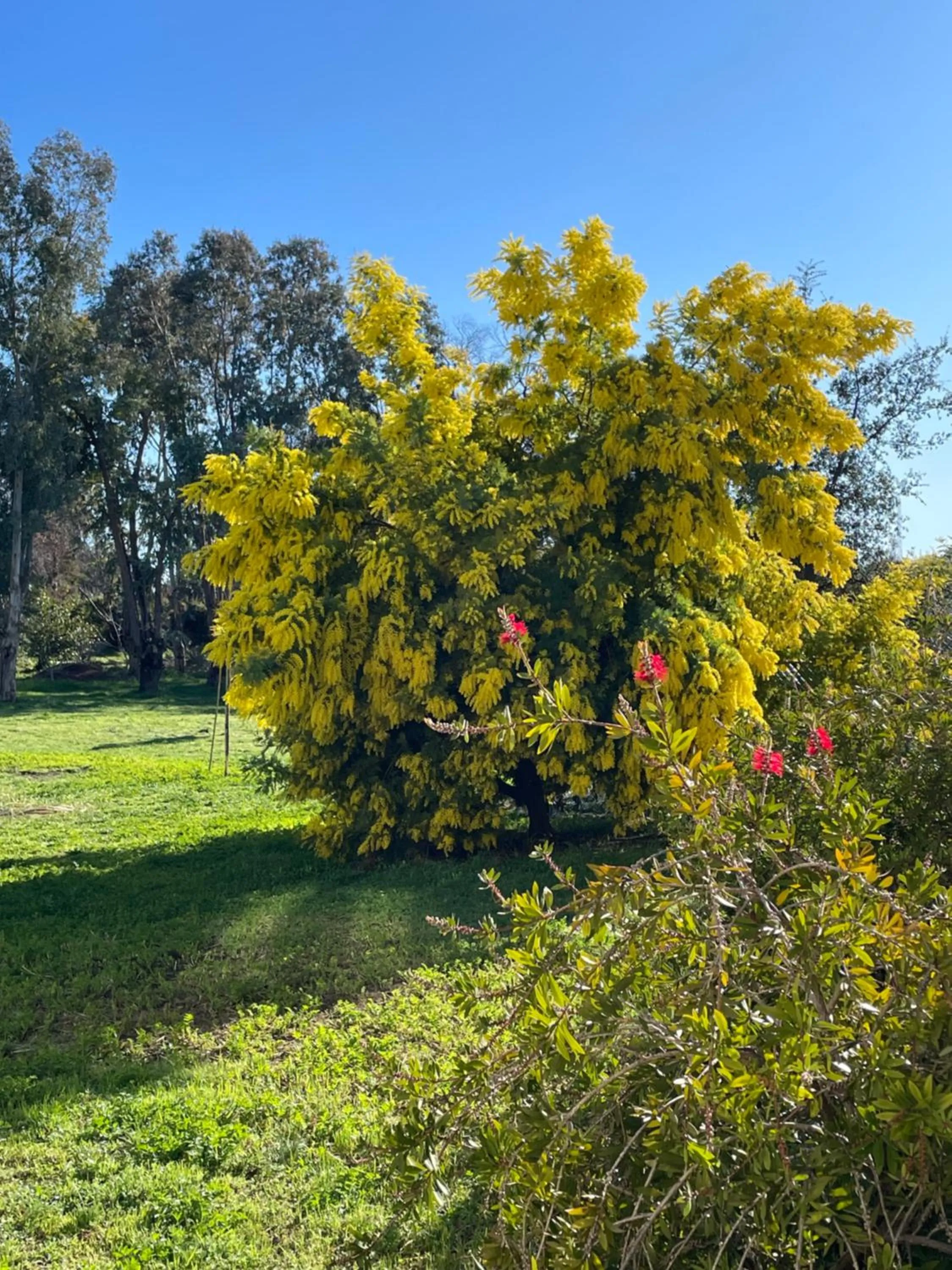 Chambre d'hôtes "La Bastide des Eucalyptus"
