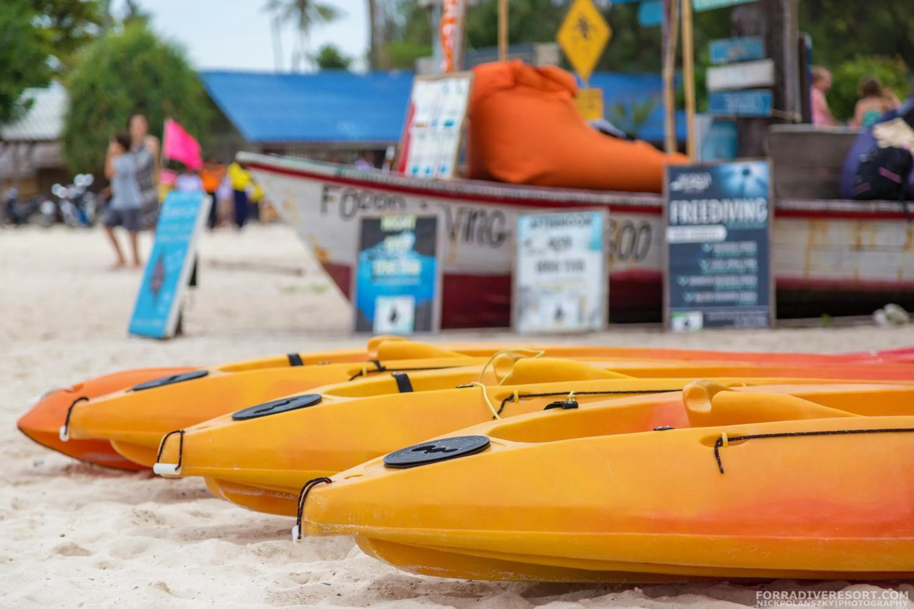 Beach in Forra Dive Resort Sunrise