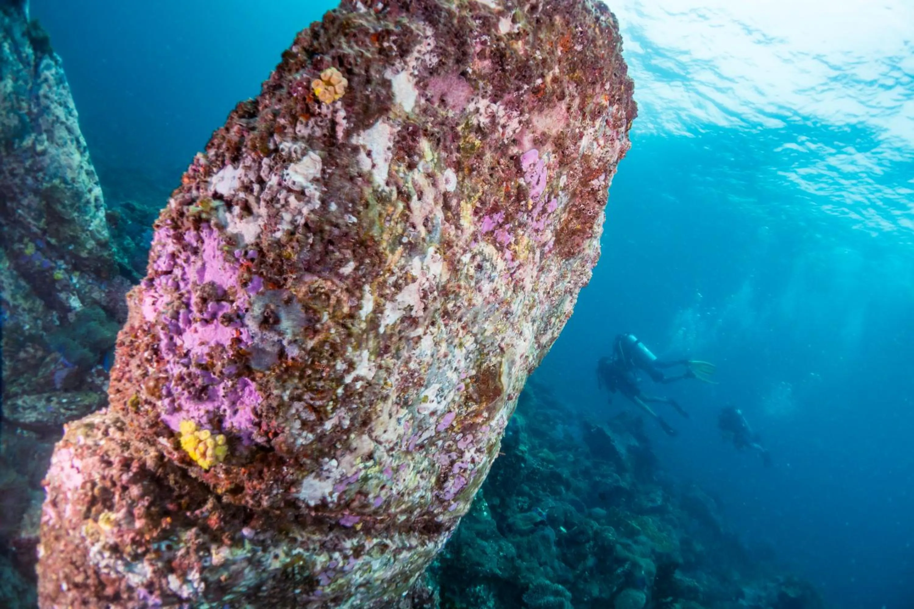 Diving in Forra Dive Resort Sunrise