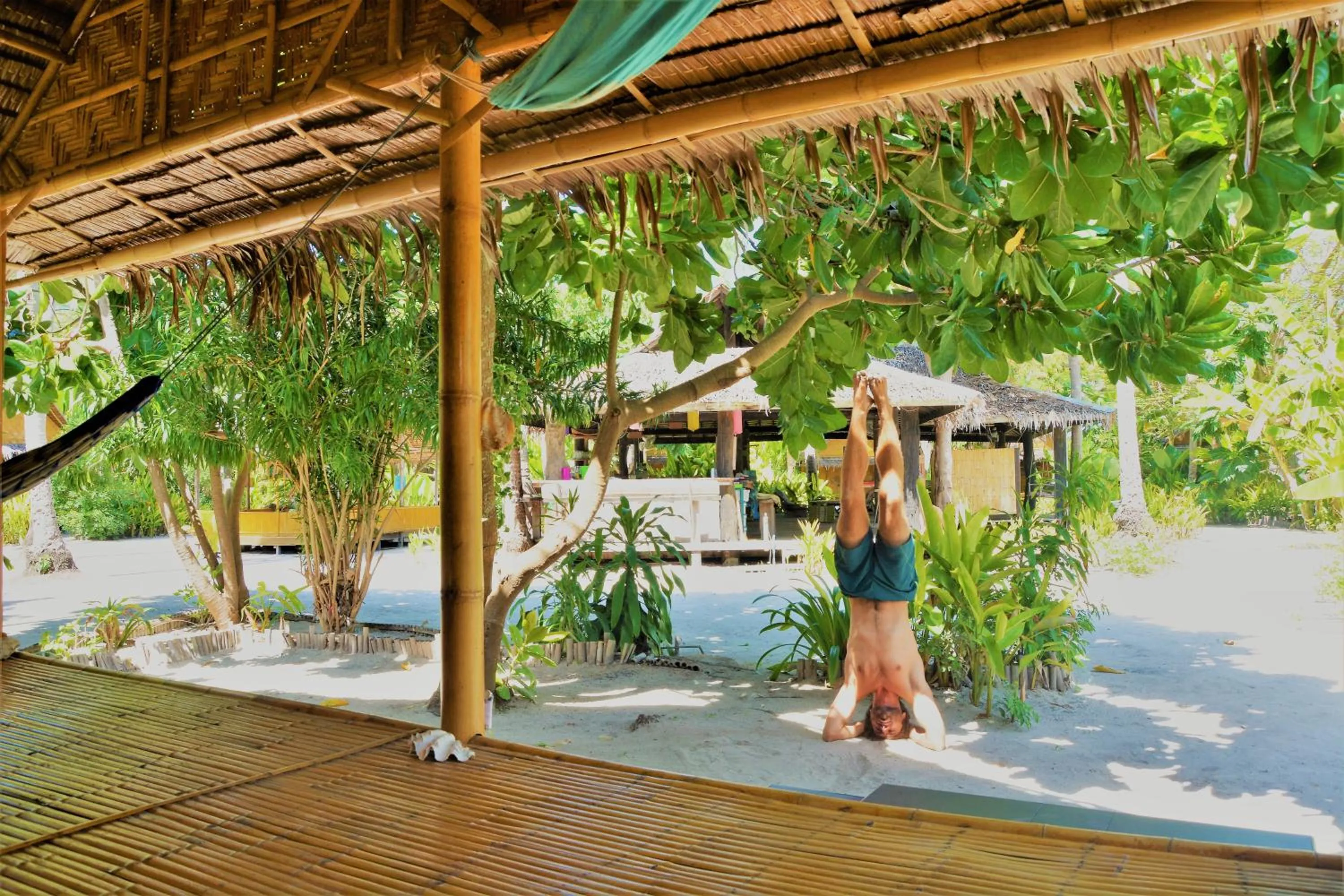 Balcony/Terrace in Forra Dive Resort Sunrise