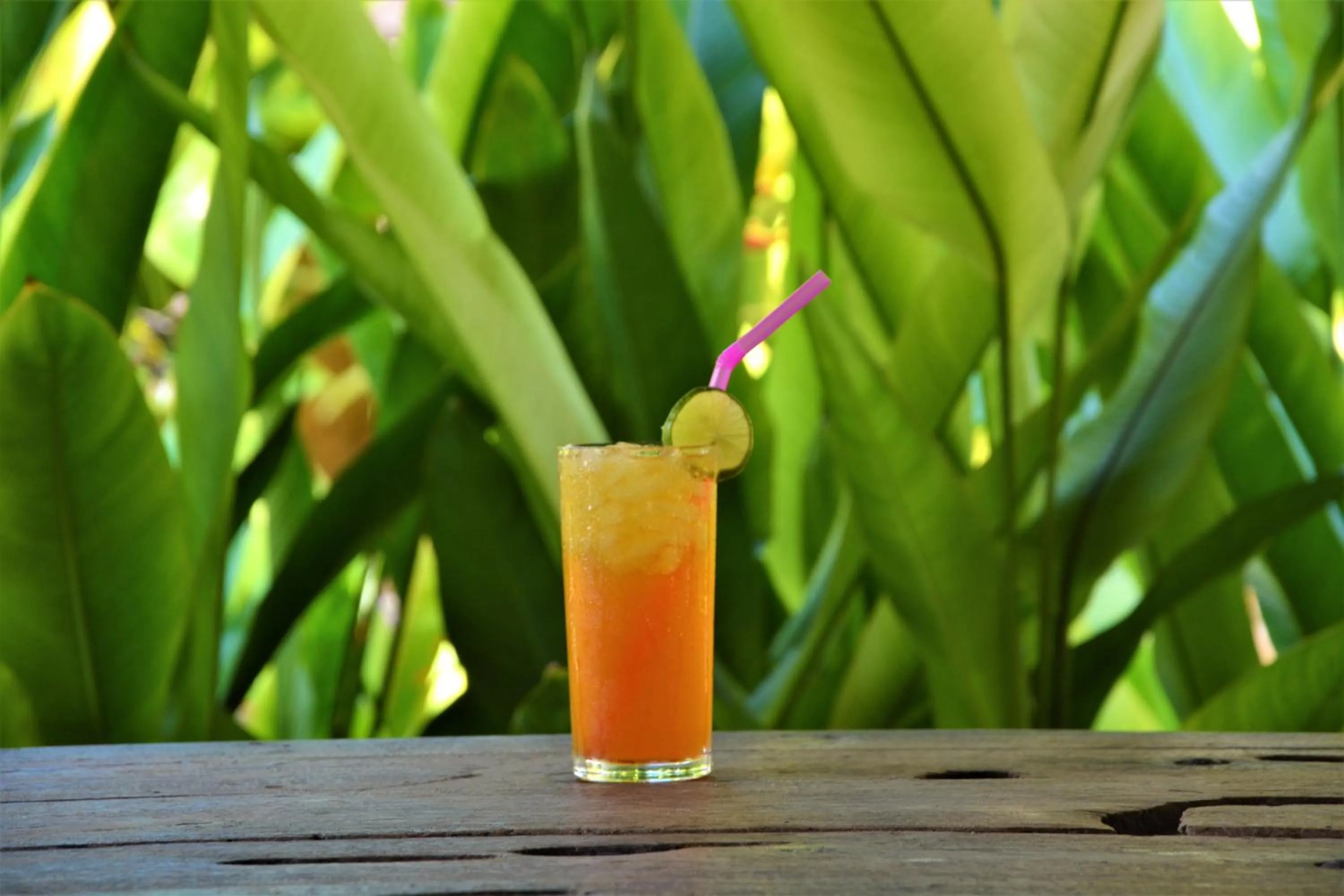 Restaurant/places to eat in Forra Dive Resort Sunrise