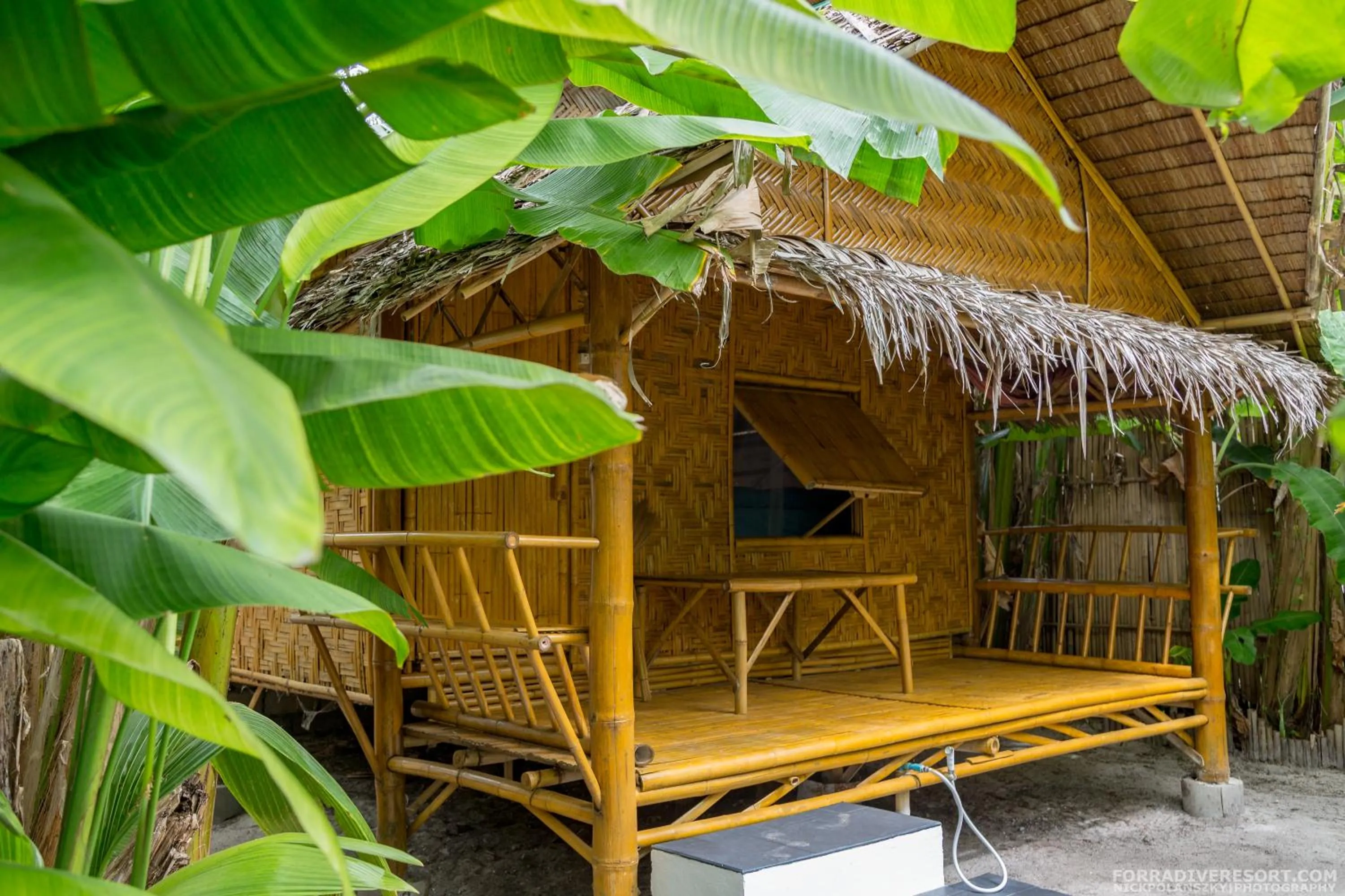 Photo of the whole room in Forra Dive Resort Sunrise