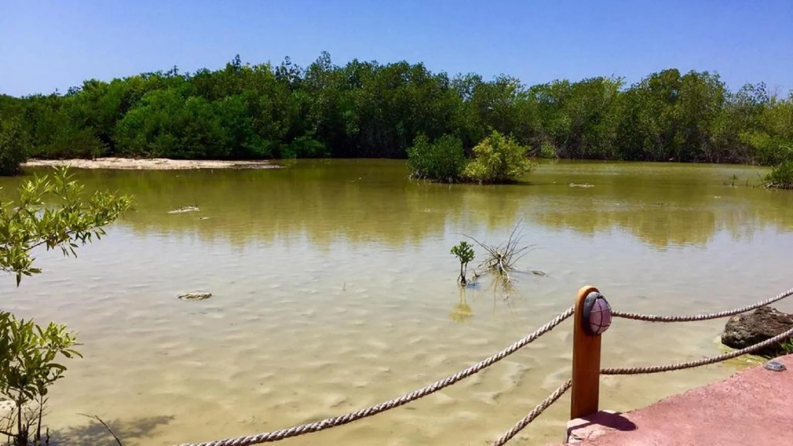 Natural landscape in Palo Santo Galápagos Hotel