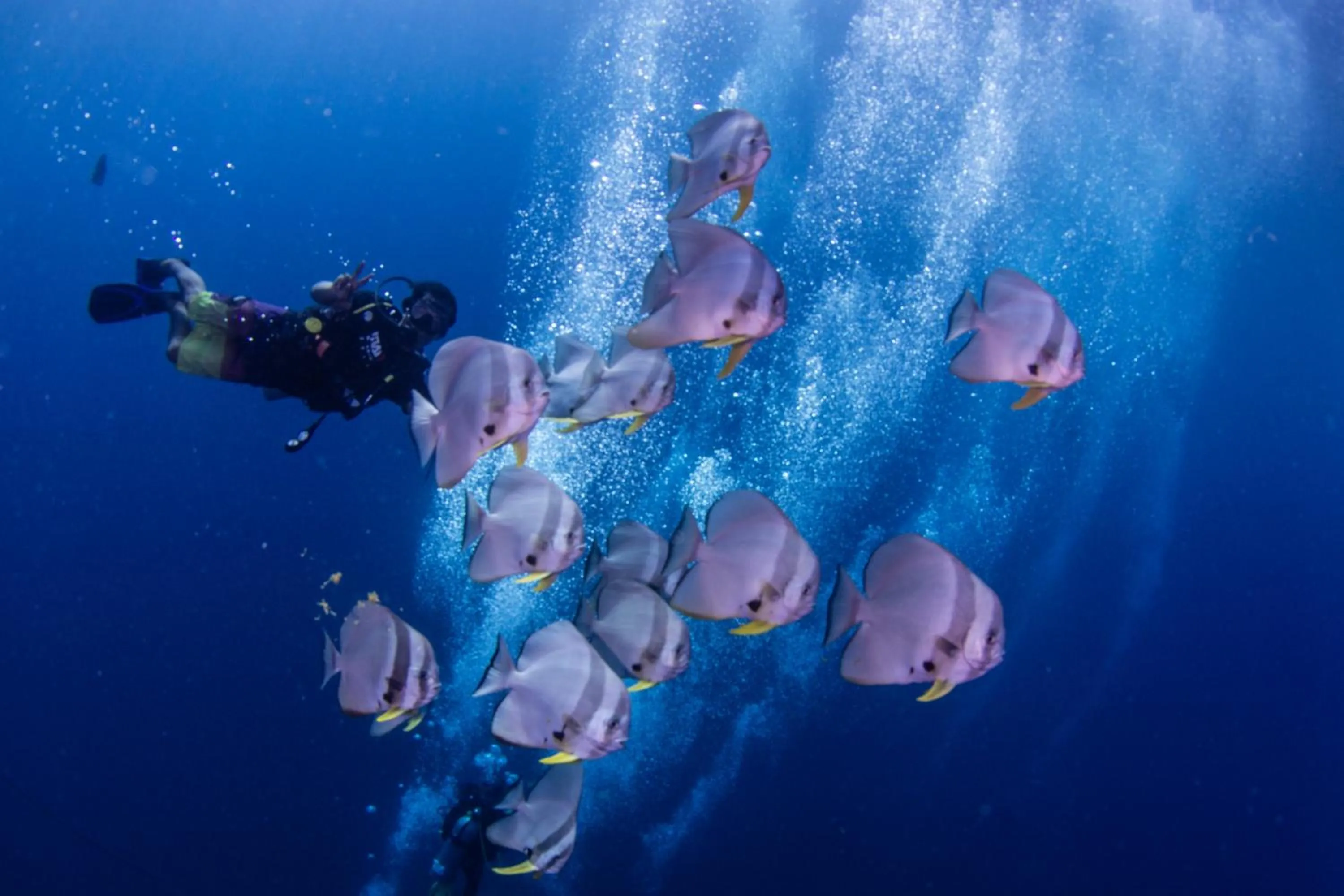 Aman Tioman Beach Resort