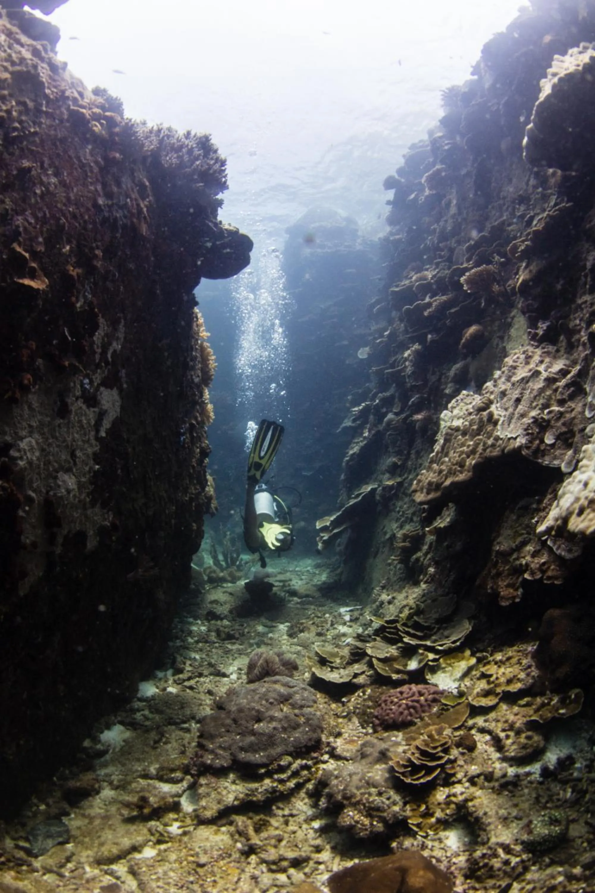 Aman Tioman Beach Resort