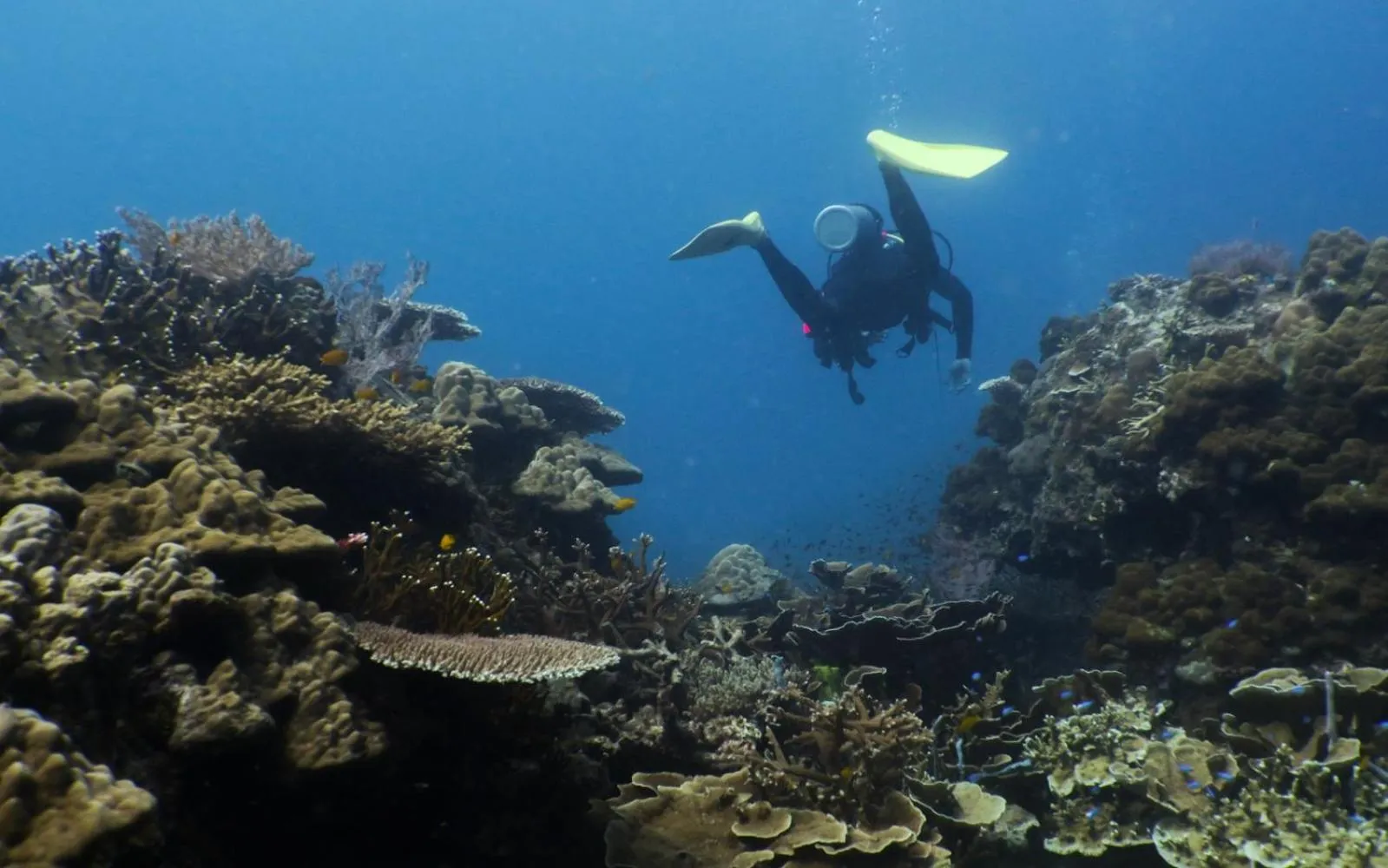 Aman Tioman Beach Resort