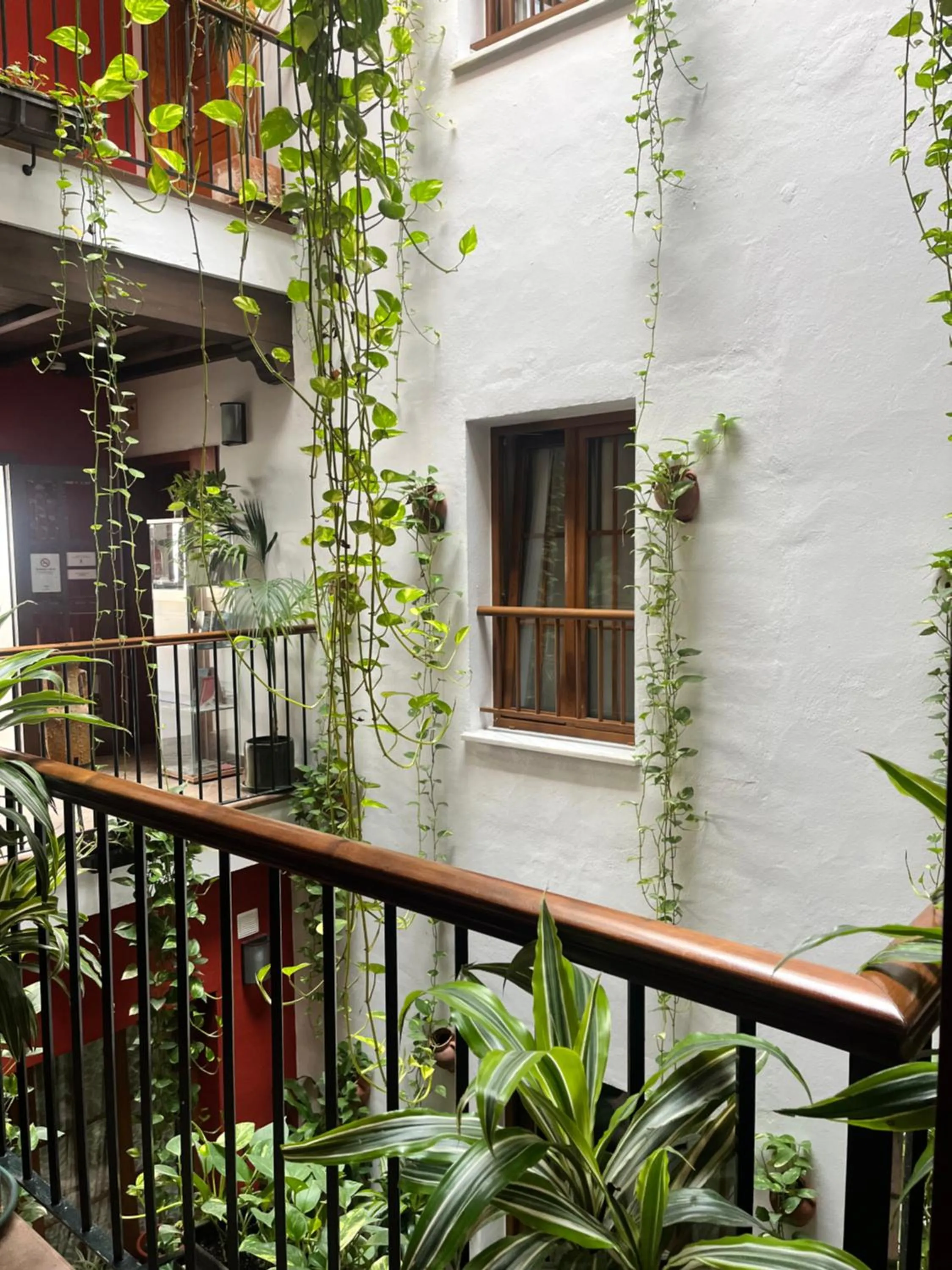 Property building in Hostal Al-Andalus