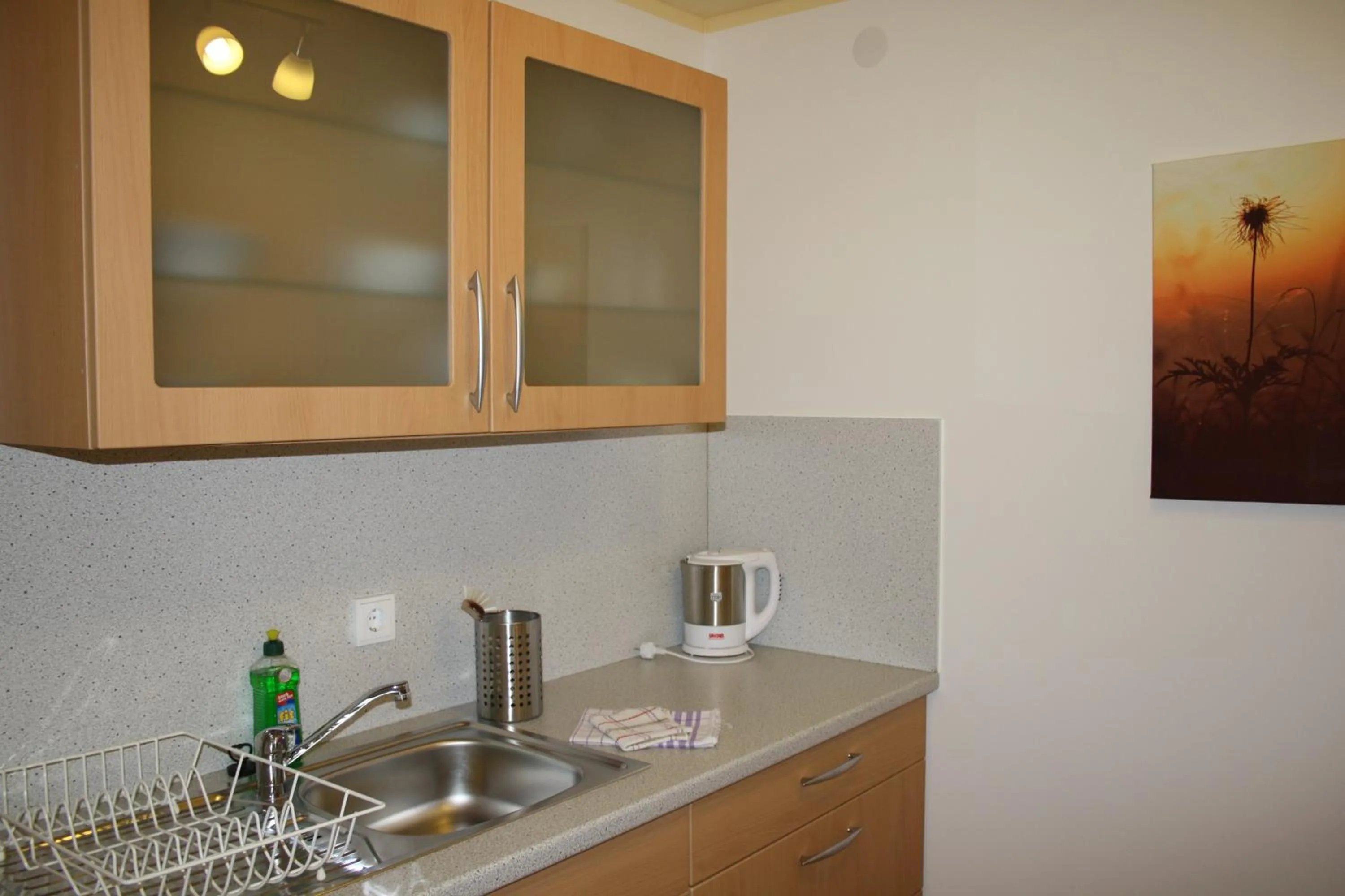 Kitchen or kitchenette in Sporthotel Walliser