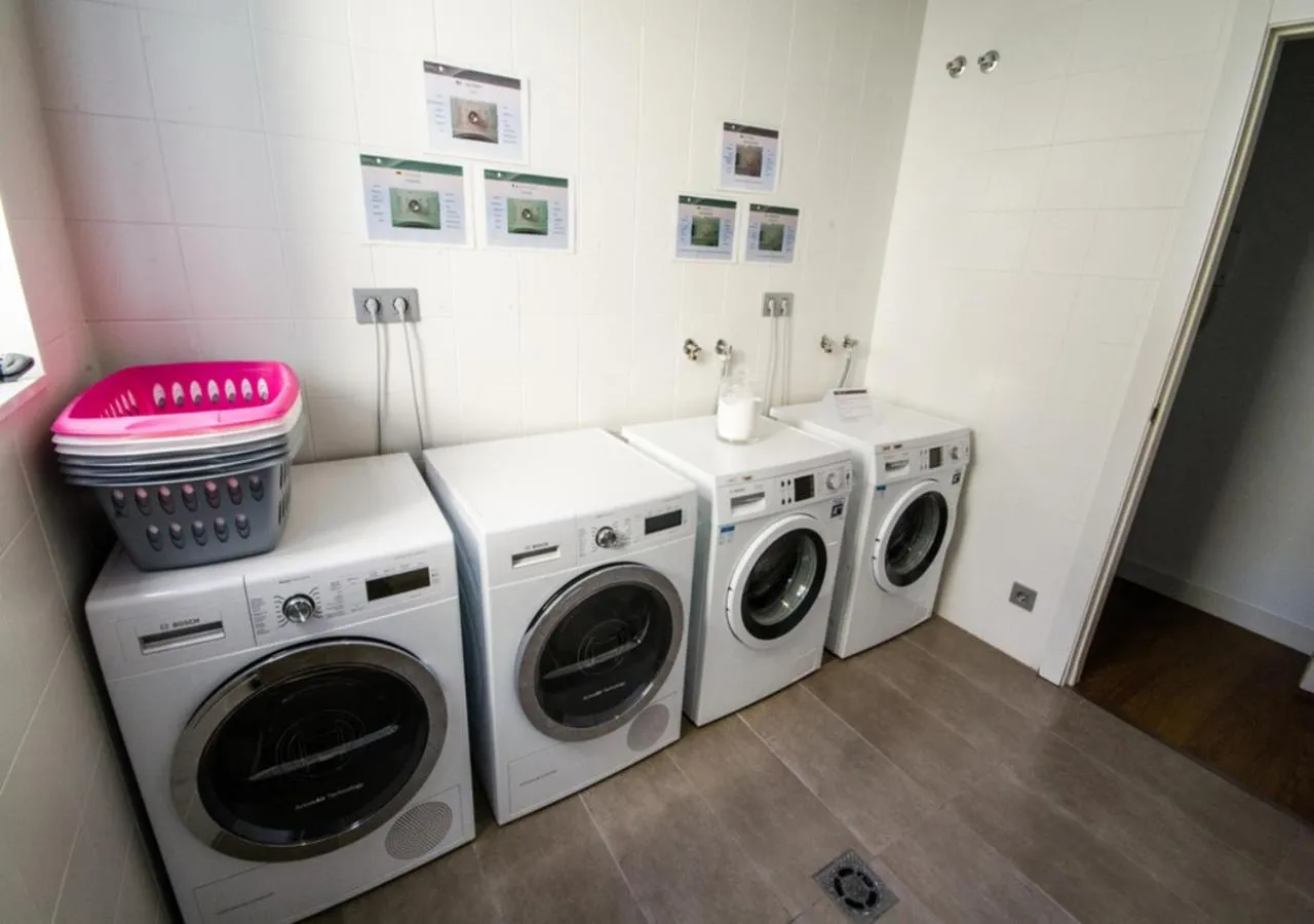 Other in Sensation Sagrada Familia