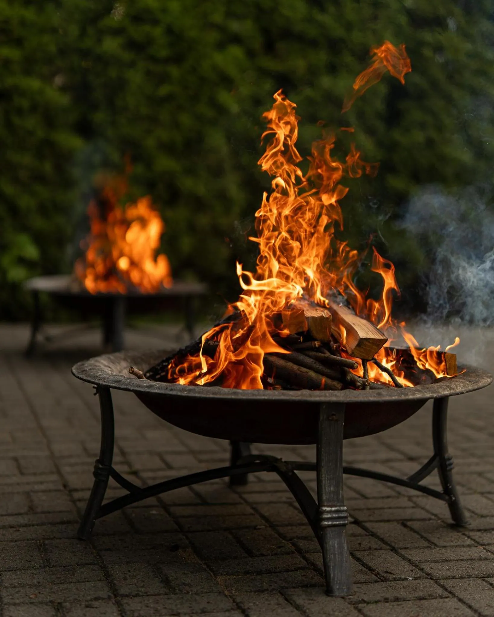 BBQ facilities in Albatros Medical SPA