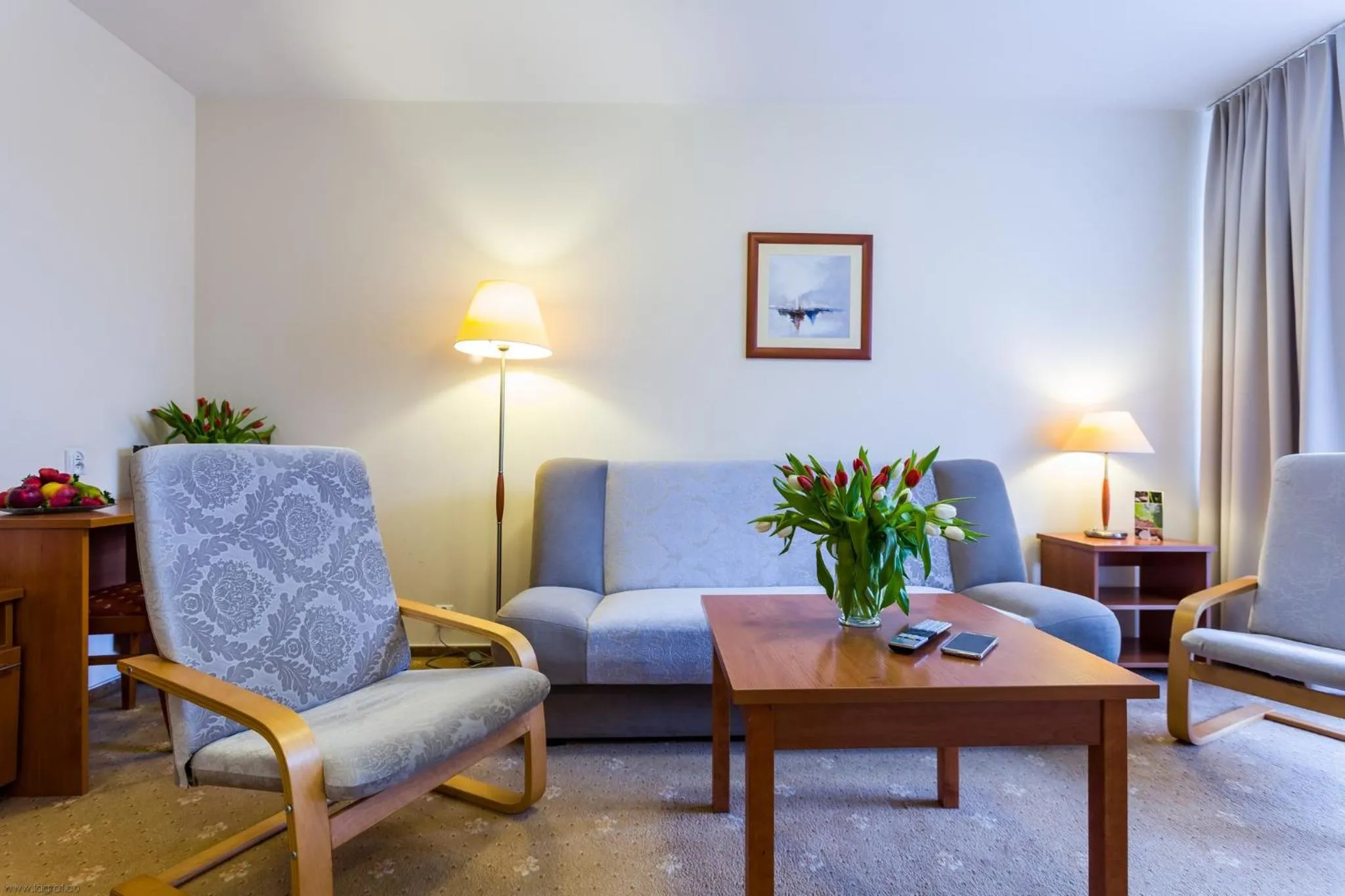 Living room in Albatros Medical SPA