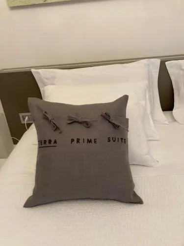 Terra Prime Suite