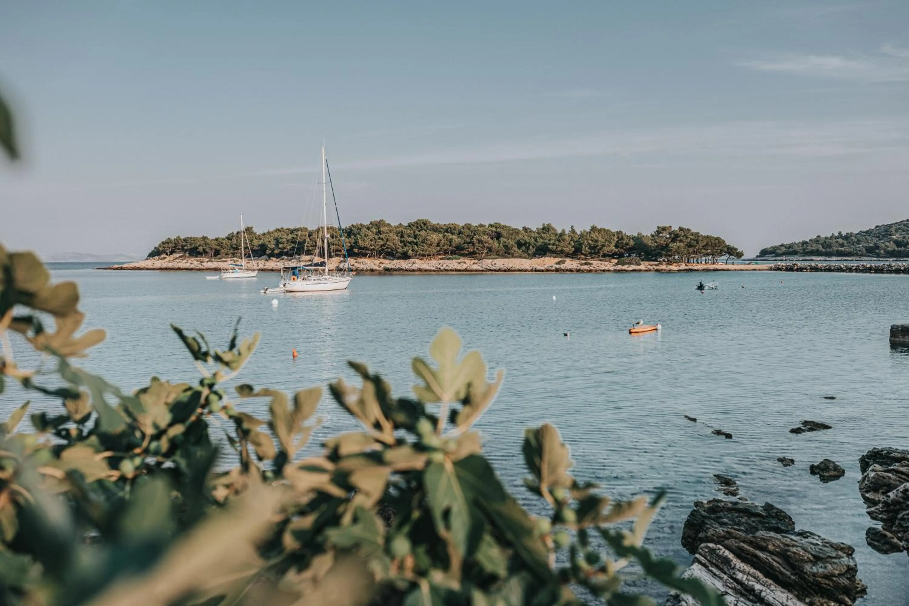 Other in Colentum Resort Murter