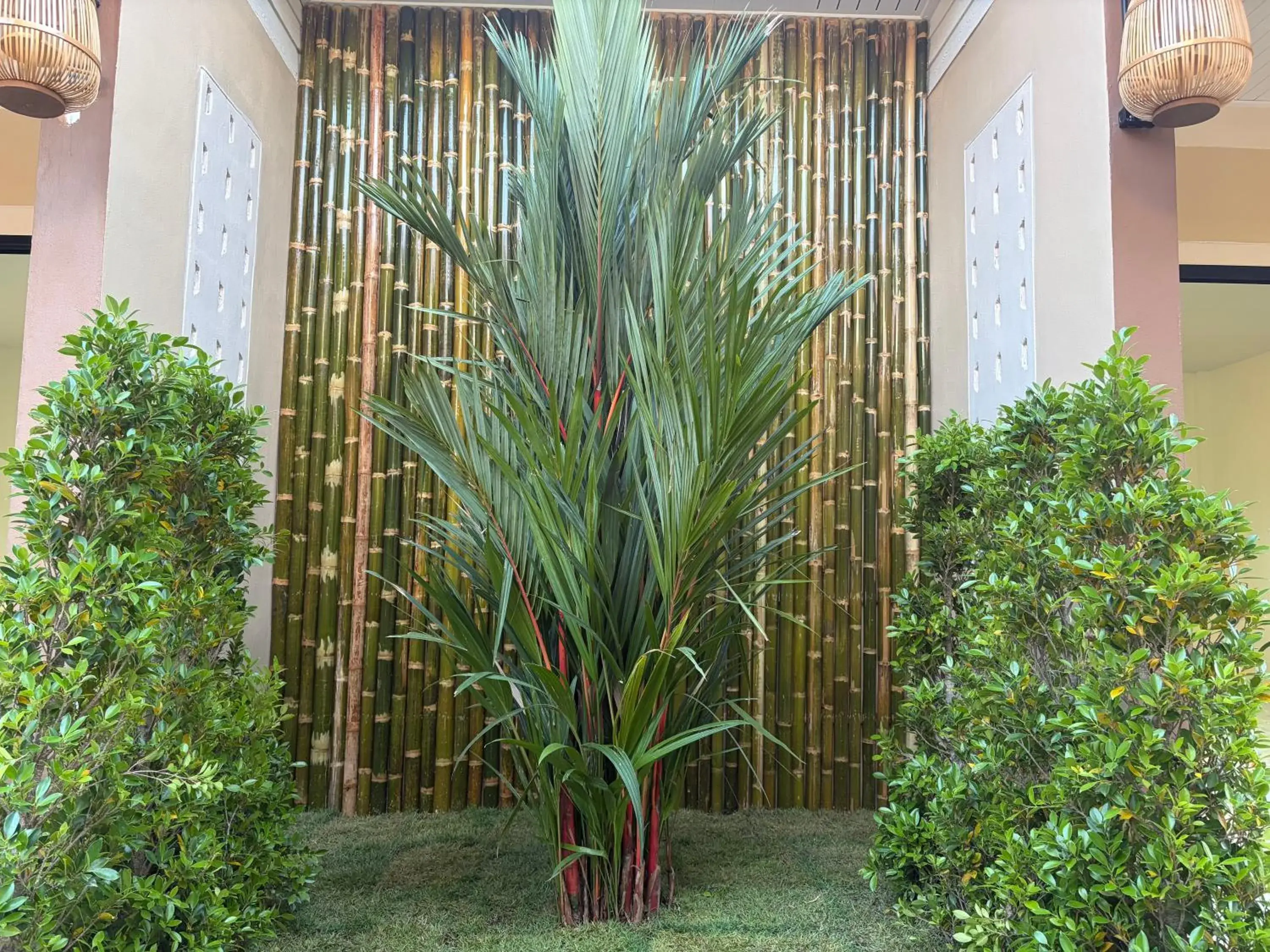 Pinky Bungalows Resort & Villa Pinky Bungalows Resort & Villa