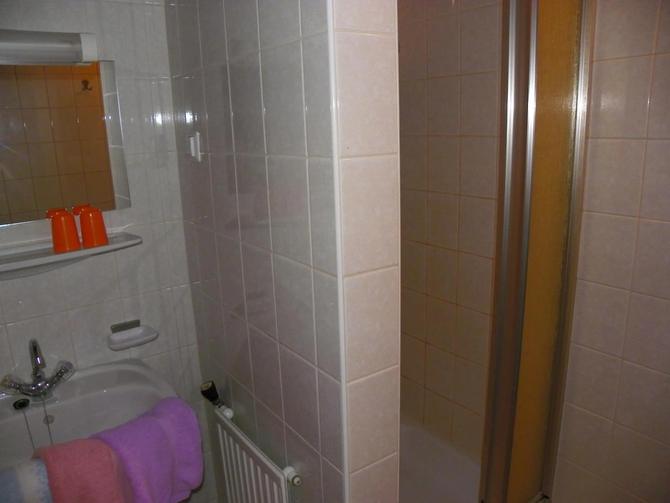 Bathroom in Ferienwohnung Ski-Hans