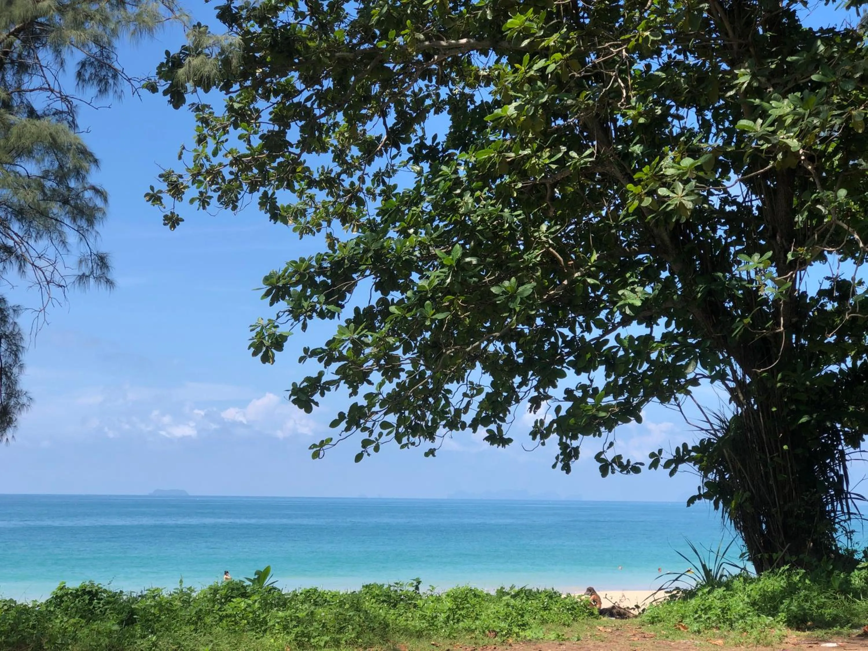 Beach in DolceVita Wonderful Resort