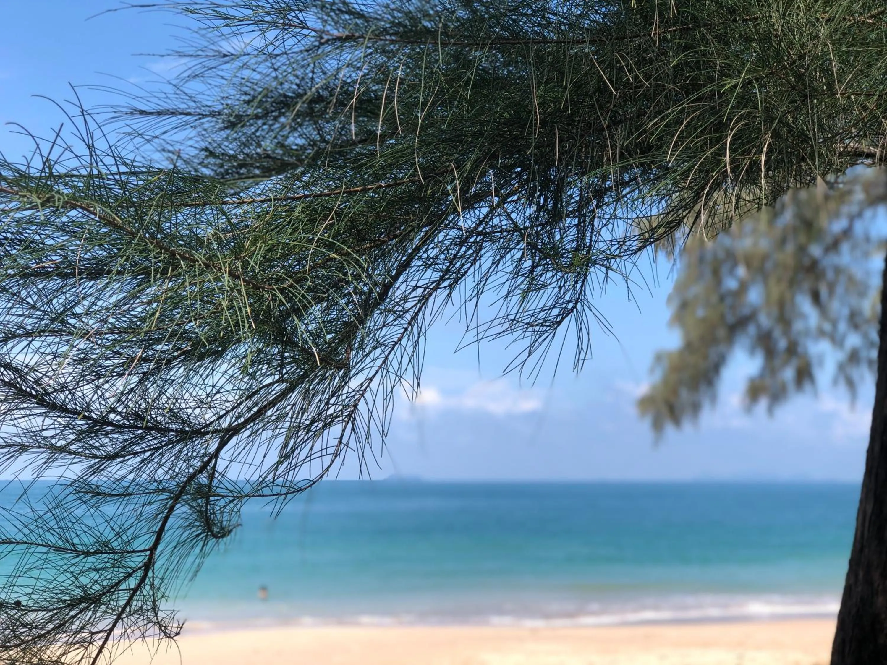 Beach in DolceVita Wonderful Resort