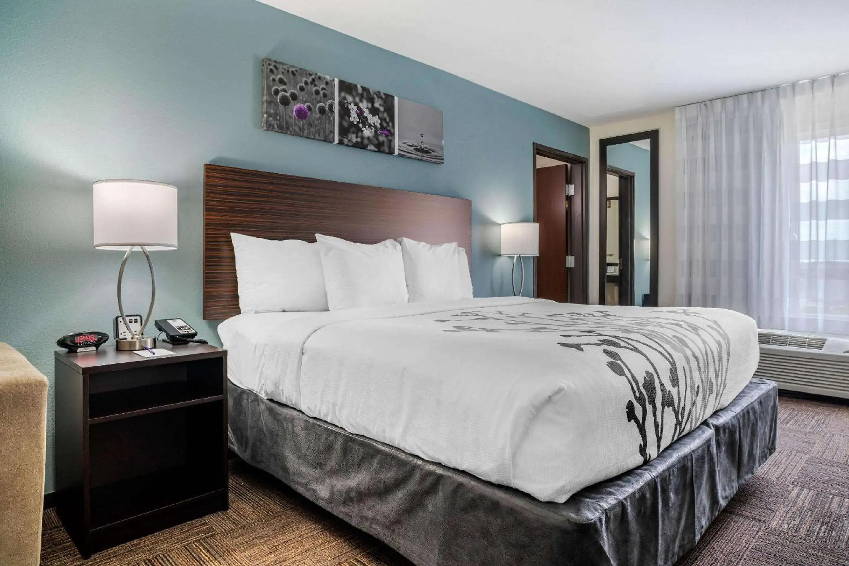 Photo of the whole room, Bed in Sleep Inn & Suites near Westchase Photo of the whole room, Bed in Sleep Inn & Suites near Westchase