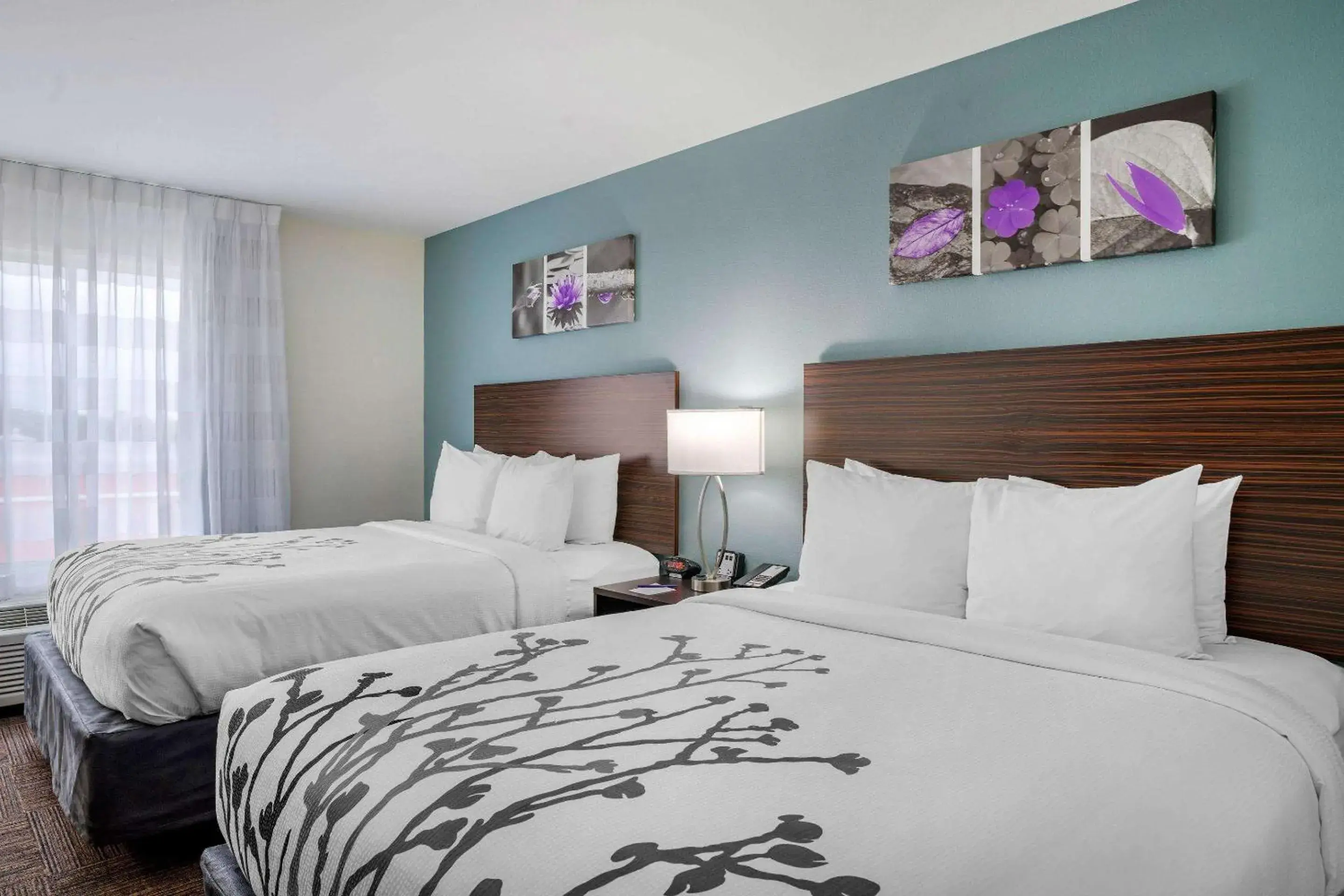 Photo of the whole room, Bed in Sleep Inn & Suites near Westchase Photo of the whole room, Bed in Sleep Inn & Suites near Westchase
