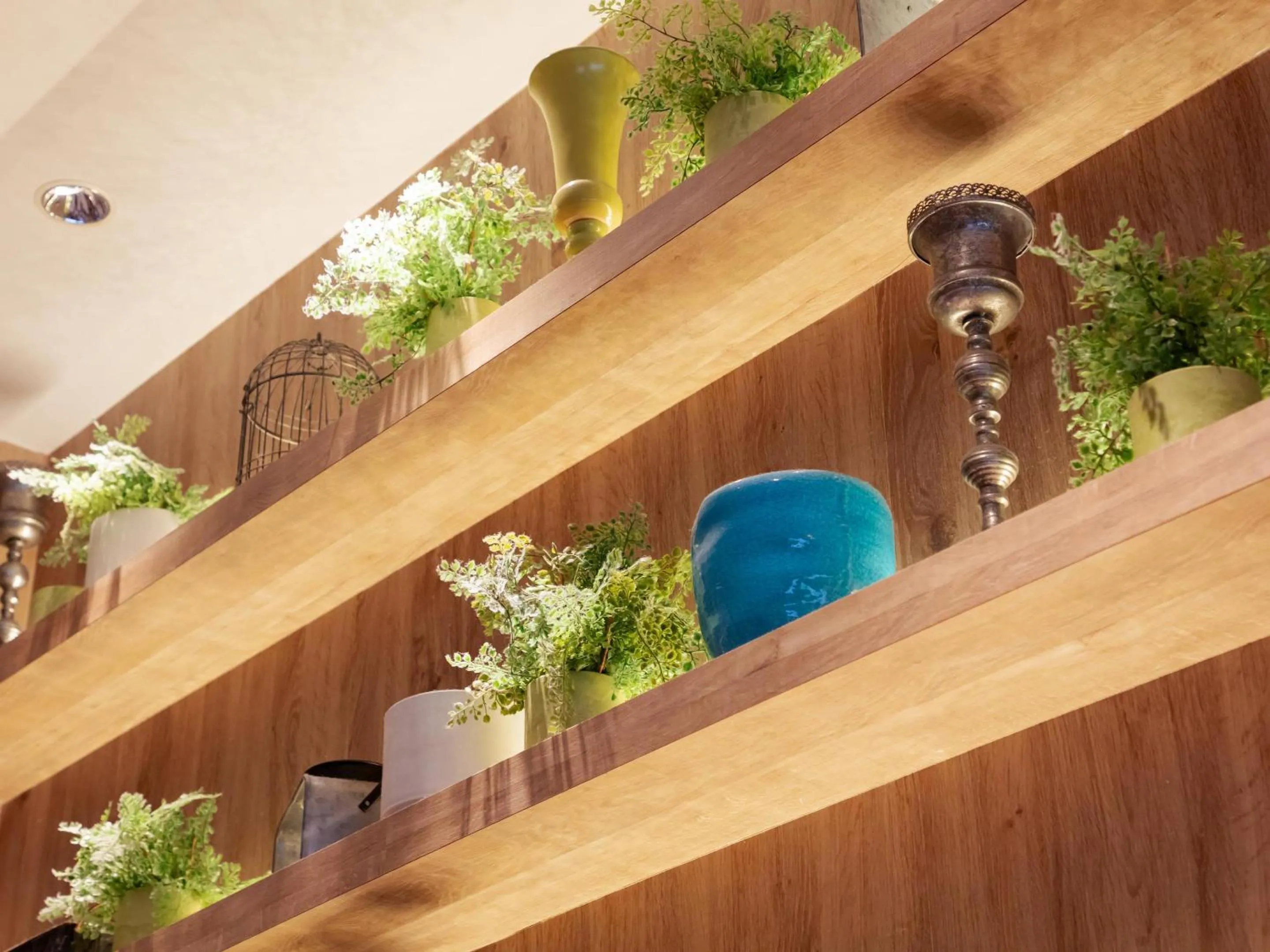 Lobby or reception in Comfort Suites Tokyo Bay