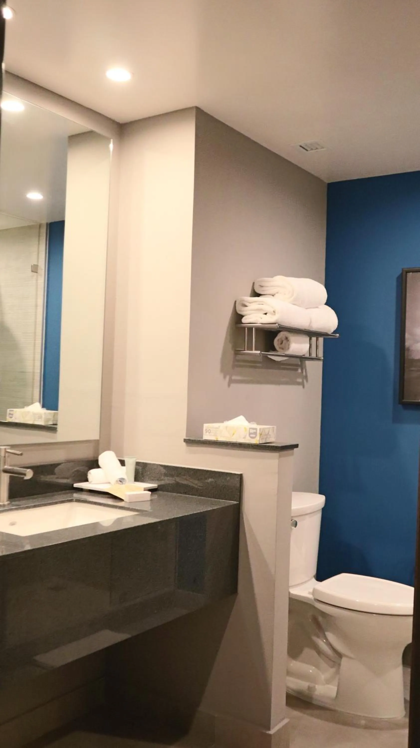 Bathroom in Fairfield Inn & Suites by Marriott Aguascalientes