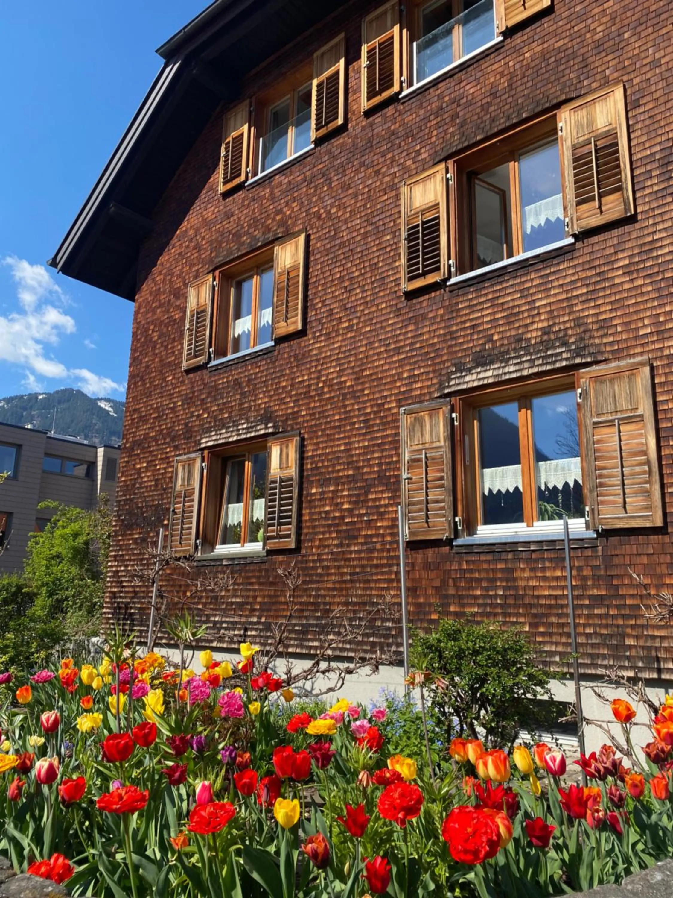 Property building in mama käthe - Apartments