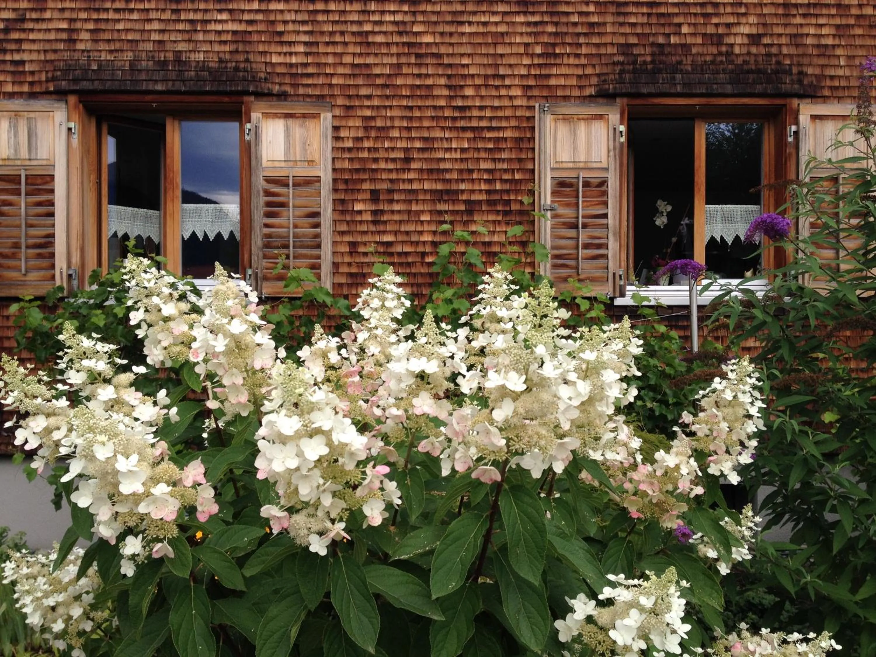 Garden in mama käthe - Apartments