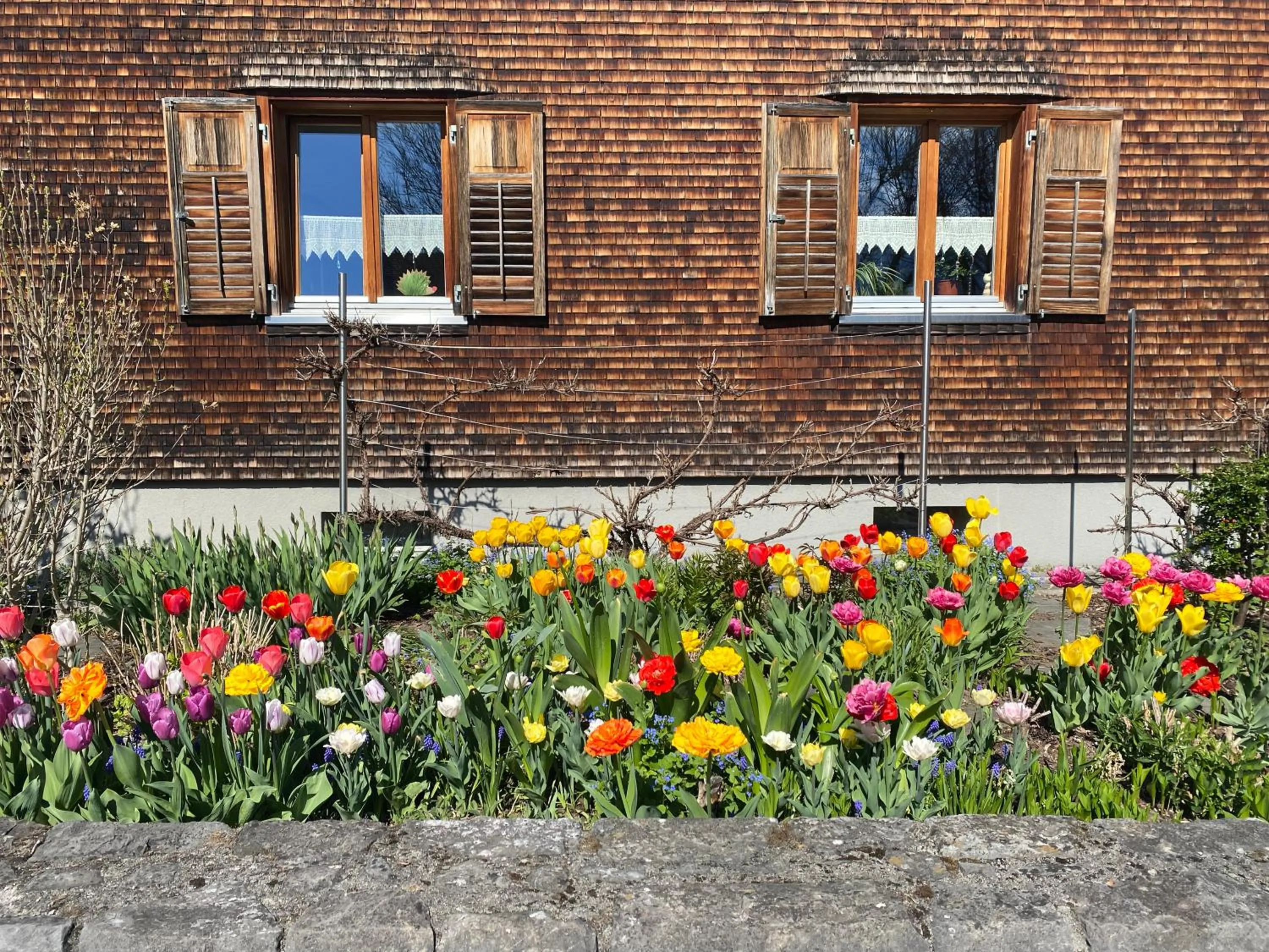 Property building in mama käthe - Apartments