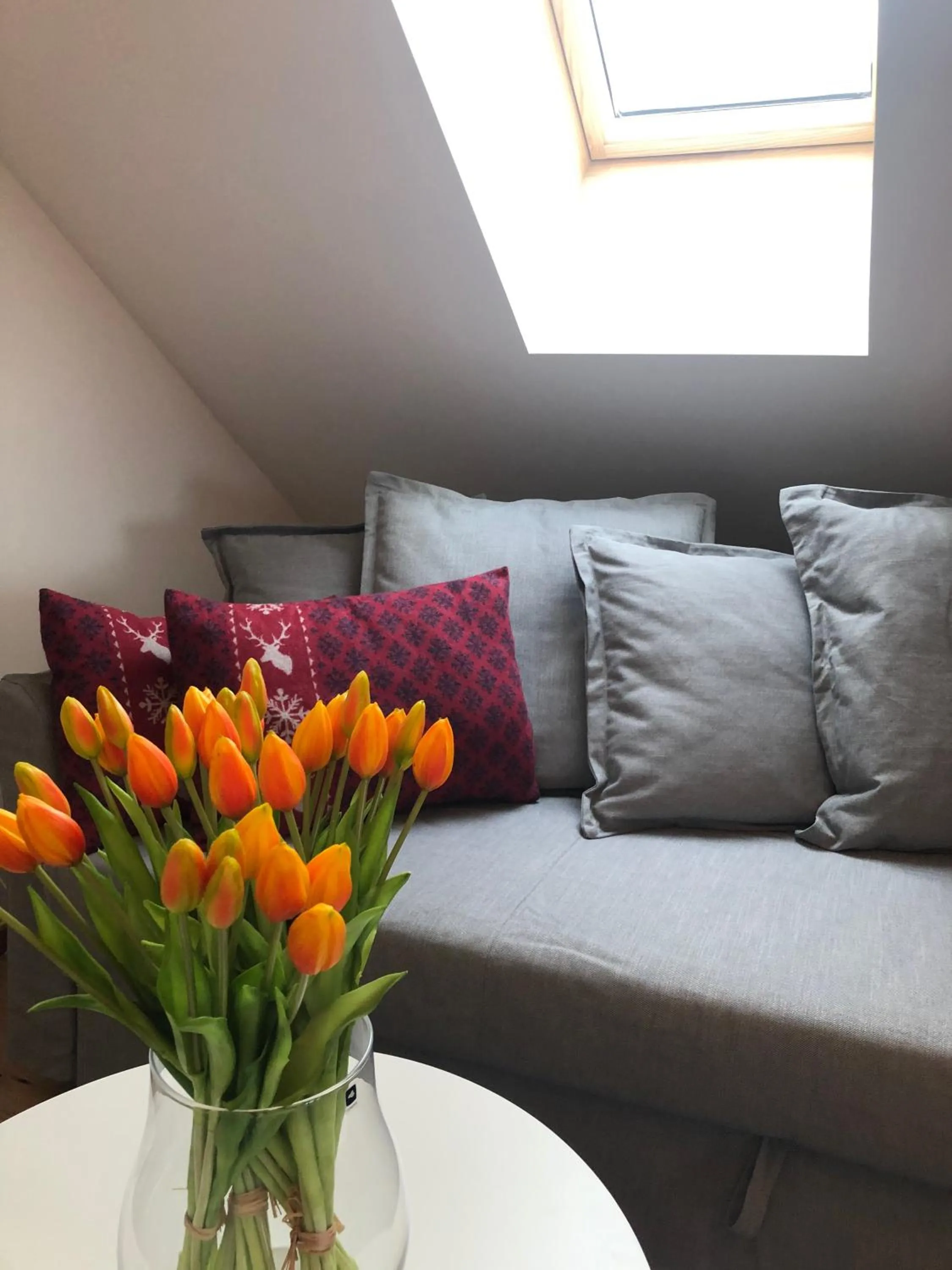 Living room in mama käthe - Apartments